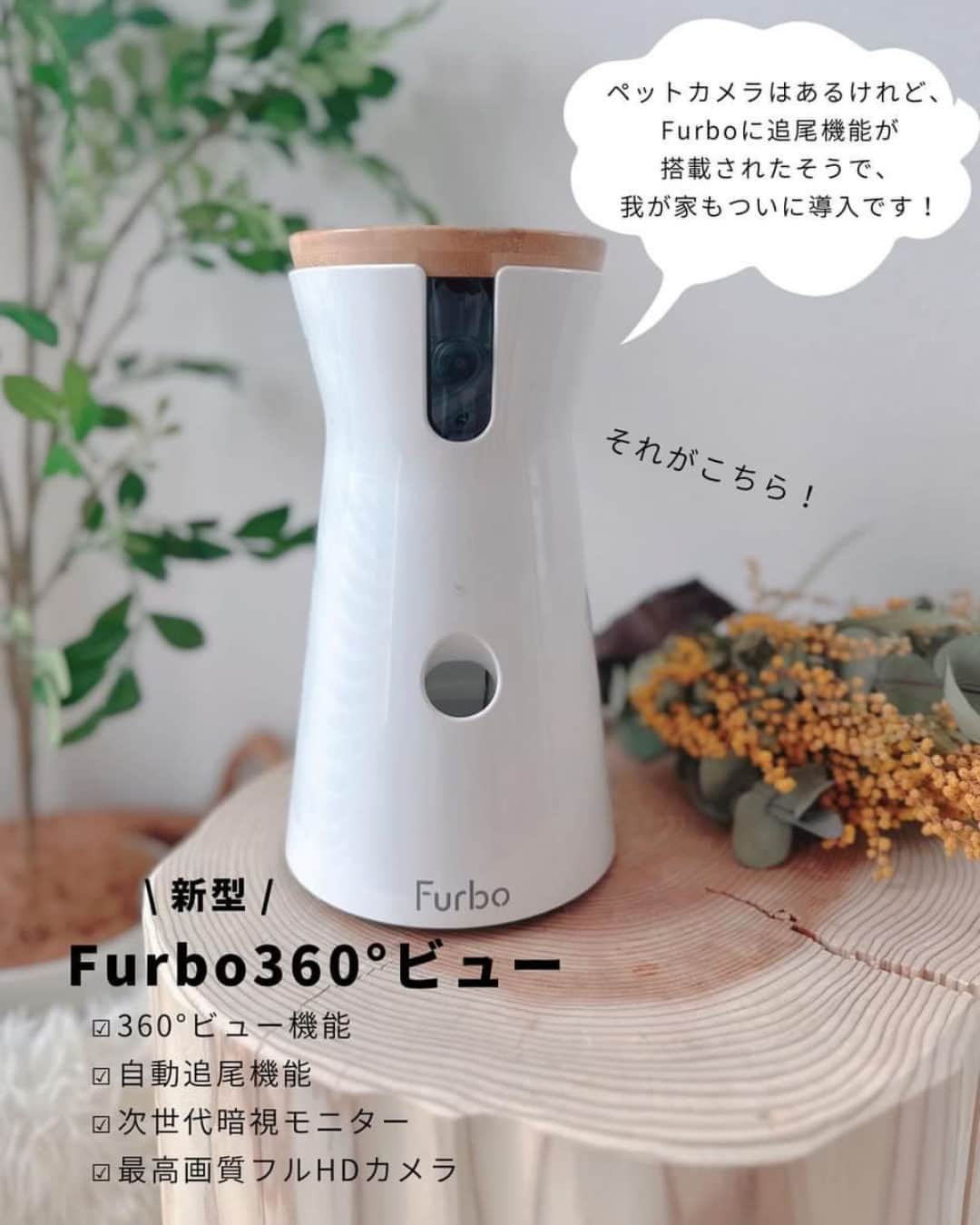 Furbo ドッグカメラさんのインスタグラム写真 - (Furbo ドッグカメラInstagram)「@furbo_japan 👈 他の投稿はこちらから     [ るりみなさん @rurimina_room レビュー✍️✨ ]  とうとう我が家にもFurboが🧡  ペットカメラは持ってはいるんだけど、 Furboに回転360°ビュー＆愛犬自動追尾機能が 新しく搭載されたそうで導入しました🫶  画質がとっても綺麗で、 部屋の中どこにいてもわかるので、 お留守番中の安心感ったら🥹  Furboドッグシッターに登録すると、 AIがわんこの動いた様子を感知して自動録画、 1日の瑠璃の動きを60秒にまとめてくれます☺️   ┈┈┈┈┈┈┈┈┈┈┈┈┈┈┈┈┈┈┈┈┈┈┈     「わんこのお留守番が心配で外出が不安🥲」  そんなお悩みを抱えているあなたを……  No.1ペットカメラの #Furbo ドッグカメラ 360°ビューが サポートします！💛     ✦ 回転360°ビューカメラ&自動追尾機能つき ✦ リモート操作可能のおやつ機能 ✦ カラーモードを新たに搭載した暗視機能 ✦ 超クリアな双方向会話で愛犬とおしゃべり ✧ AI活用+機能のFurboドッグシッターでさらに安心！ 　　　　　　　　　　　　　　　　etc…    最安値プランは公式サイト限定🤭  プロフィールのリンクから まずは価格を比較してみてください🔍✨ ▶︎ @furbo_japan  #Furbo #ファーボ #ドッグカメラ #ペットカメラ #見守りカメラ #お留守番カメラ #お留守番犬 #犬の留守番 #お留守番ありがとう #犬好きな人と繋がりたい #犬すたぐらむ #愛犬との暮らし #チワワ #chihuahua」6月7日 19時06分 - furbo_japan