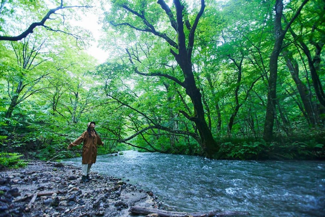 のインスタグラム：「. 奥入瀬渓流ホテルでは6月1日より、雨にきらめく奥入瀬渓流で自然の美しさを味わう「奥入瀬雨さんぽ」を実施しています🌧️🏃🏻✨  一般的には敬遠されがちな”雨”ですが、奥入瀬渓流では水に濡れ鮮やかさが増した濃緑色の森や、きらきら輝く苔など、雨が降った時にしか見られない美しい景色を見ることができます🌱🫧  当プログラムでは奥入瀬渓流を熟知した渓流コンシェルジュが、人や車両の通行が少ない静かな早朝の時間帯にその日の雨の降り方に合わせて一番美しい景色にご案内します🔍  心おきなく雨を楽しむことができるよう、当プログラムにご参加いただいた方専用の「奥入瀬雨さんぽセット」を用意しました✨ レインハット、レインコート、レインブーツの防水アイテムのほかに、 雨の奥入瀬渓流の美しさを旅の思い出として記録できる防水カメラや防水スマートフォン用レンズも用意しており、思いのままに雨に濡れ楽しむことができるセットです📷🫧✨  ぜひ雨の日にしか見られない幻想的で美しい景色を心おきなくお楽しみください☺️ #hoshinoresorts　#oirasekeiryuhotel　#奥入瀬渓流ホテル　#星野リゾート　#奥入瀬渓流　#青森旅行　#oirase　#絶景ホテル　#国立公園　#リゾートホテル　#奥入瀬雨さんぽ」