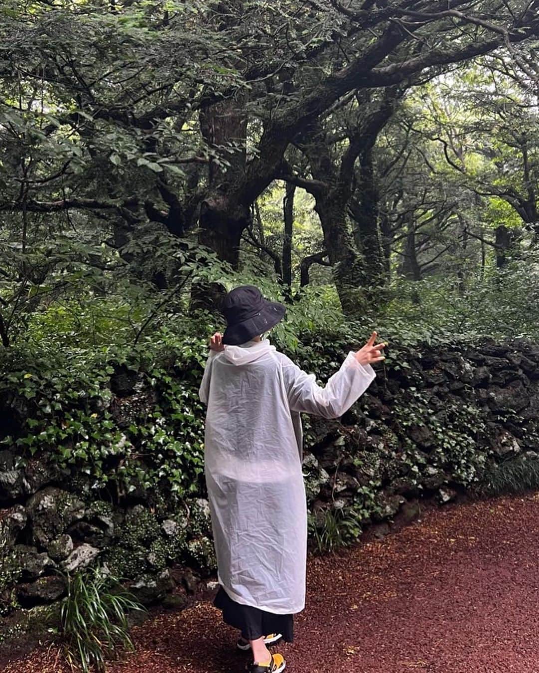 キム・ソナさんのインスタグラム写真 - (キム・ソナInstagram)「힐링... 인지~운동인지. ㅎㅎ  초록초록~~ 🌲」6月7日 19時17分 - kimsuna_official