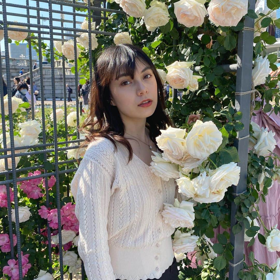 南ソフィアのインスタグラム：「. 満開だった中之島バラ園🌹 もう雨続きで散ってそう🥀 . . . .」