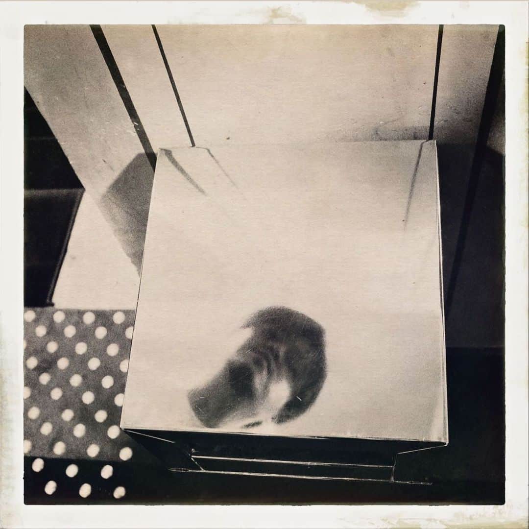 渋谷慶一郎のインスタグラム：「Me in the MIRROR  📷 by @christophebrunnquell」