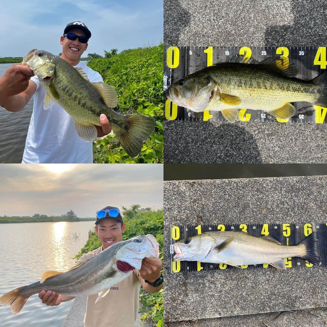 藤嶋大規さんのインスタグラム写真 - (藤嶋大規Instagram)「ナイスフィッシュ🎣  #バス釣り #swanseyewear #mistral #ミストラルアパレル #石川県 #小松市 #bassfishing」6月7日 19時34分 - canoe_hiroki