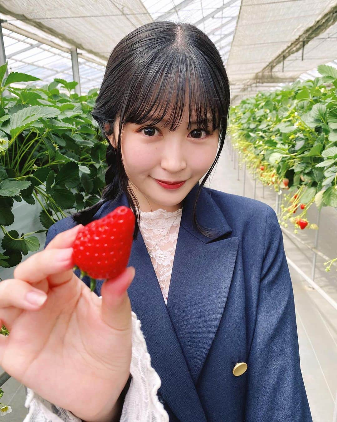 佐藤妃星のインスタグラム：「🍓🍓🍓  先日、6月5日に10周年を迎えました✨ いつも応援ありがとうございます🥰 昨日は10周年記念配信ありがとうございました！ 日程はまだ未定ですが、私たち15期生の10周年公演もやらせて頂きますので、楽しみにしていてくださると嬉しいです🫶🏻  ちょっと前だけど いちご狩りに行った時の写真👍🏻  #akb48 #佐藤妃星 #15期生 #いちごちゃんず #10周年 #15期10周年 #いちご狩り #🍓 #川越 #氷川神社」