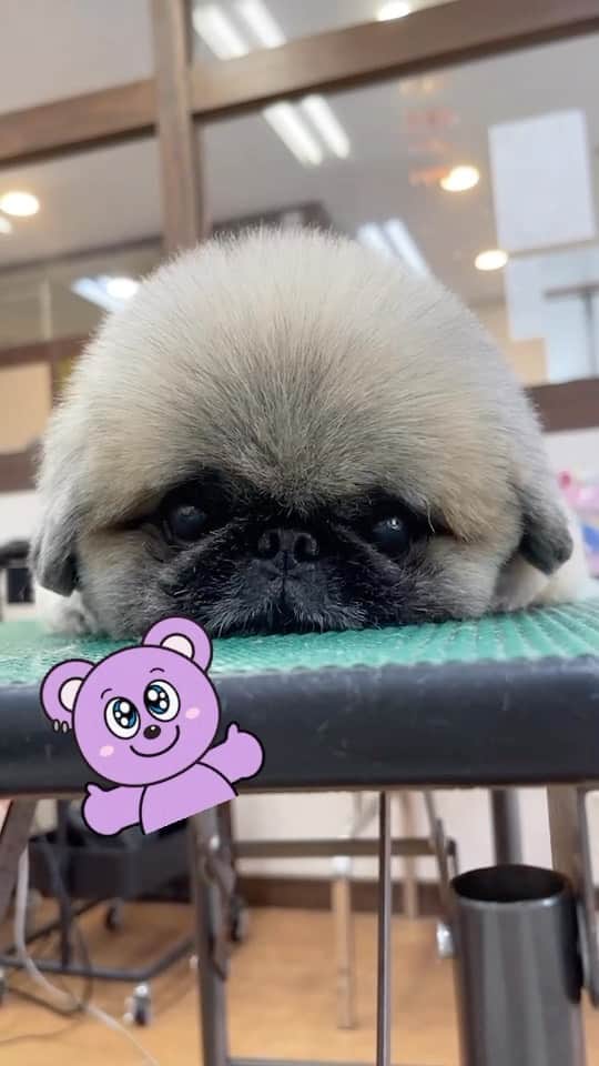 いぶそらのインスタグラム
