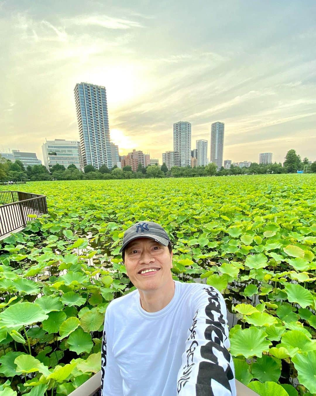 遠藤憲一のインスタグラム：「散歩🚶🏼しました」