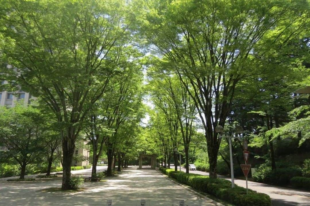 Soka Universityさんのインスタグラム写真 - (Soka UniversityInstagram)「Campus Seasonal Photos May② Nature photos of the campus. #discoversoka #sodaigram #sodaipictures #sokauniversity #創価大学 #hachioji #八王子 #tokyo #東京 #campus #キャンパス #university #大学 #students #学生 #nature #自然 #april #卯月 #spring #春 #fourseasons #四季 #environment #環境」6月7日 11時43分 - sokauniversity