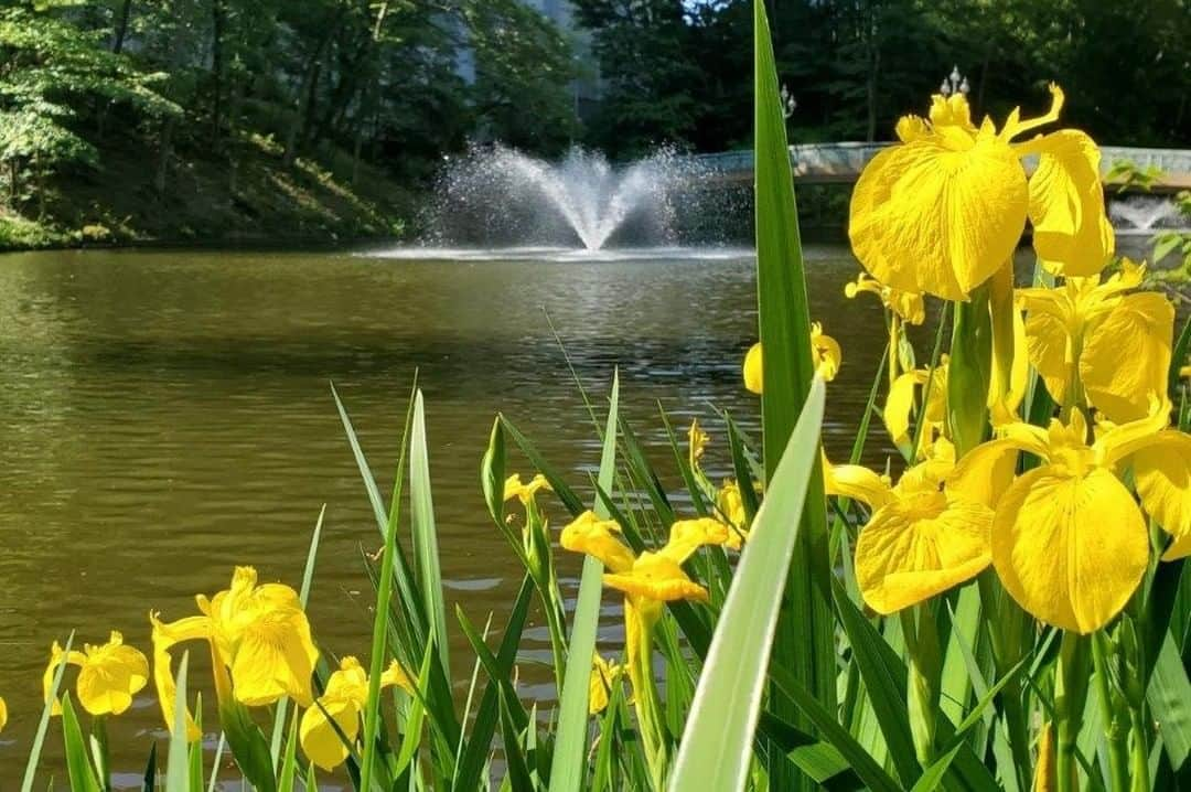 Soka Universityさんのインスタグラム写真 - (Soka UniversityInstagram)「Campus Seasonal Photos May② Nature photos of the campus. #discoversoka #sodaigram #sodaipictures #sokauniversity #創価大学 #hachioji #八王子 #tokyo #東京 #campus #キャンパス #university #大学 #students #学生 #nature #自然 #april #卯月 #spring #春 #fourseasons #四季 #environment #環境」6月7日 11時43分 - sokauniversity