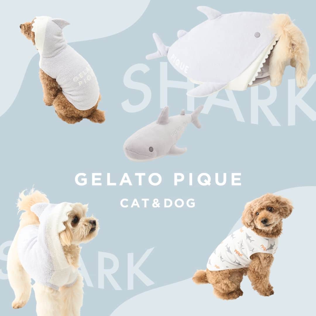 Caluluさんのインスタグラム写真 - (CaluluInstagram)「GELATO PIQUE CAT&DOGより新シリーズの「シャークシリーズ」が新登場🦈  ひんやり涼しい海で泳ぐサメたちをモチーフにした大人気シリーズ。  愛犬がシャークになれちゃうウェアや、食べられちゃうようなデザインのハウスなど、写真映え間違いなしのとっても可愛い商品が揃ってます💙  ぜひチェックしてくださいね🐾  -----------------------------  Caluluオンラインショップは ▼プロフィールのlitlinkよりアクセス🐶 @calulu_dogwear  -----------------------------  #calulu #caluludogwear #カルル #カルルドッグウェア #きょうのわんこ #癒しわんこ #わんこ部　#いぬすたぐらむ #犬のいる生活 #おしゃれわんこ #わんわん物語 #いぬのいる暮らし #お出かけわんこ #お出かけわんこ部 #いぬとの暮らし #カルルわんこの会 #カルルにゃんこの会 #ねこのいる生活 #ねこのいる幸せ #猫のいる暮らし #ねこすたぐらむ #ねこ部 #ペット用品 #ペットグッズ #ペットアイテム #gelatopique #ジェラートピケ #ジェラピケ」6月7日 11時51分 - calulu_dogwear