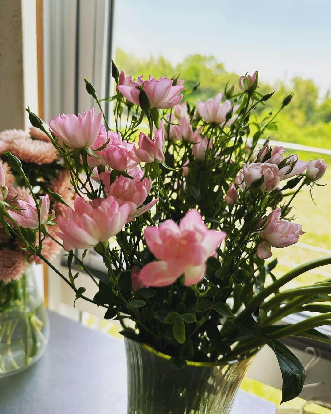 二ノ宮知子さんのインスタグラム写真 - (二ノ宮知子Instagram)「心が荒んでいるのか花が増えていく。」6月7日 12時02分 - tomokoninomiyaa