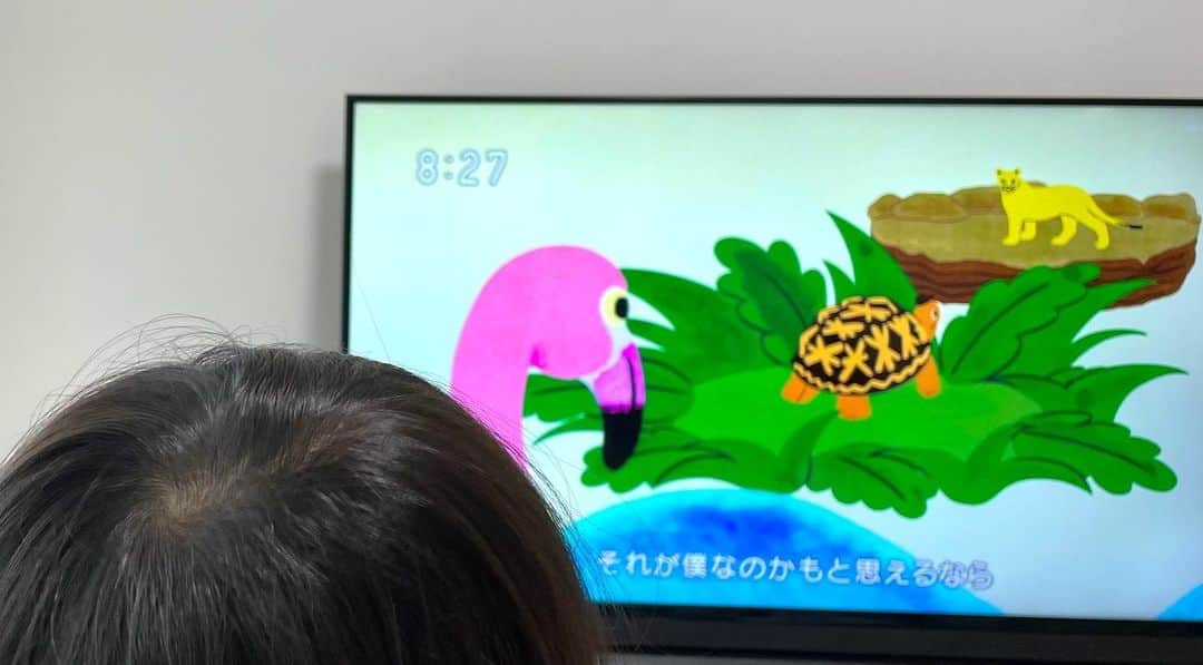 LITTLEのインスタグラム：「カメとピューマとフラミンゴと息子 #kickthecancrew #みんなのうた #アオキイロ #nhk」