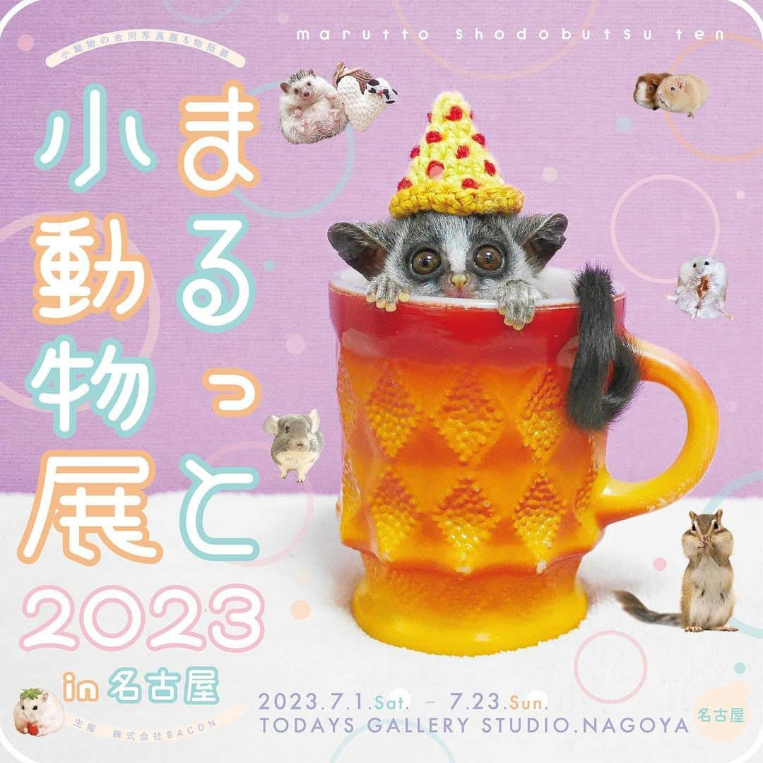 hamster_mocoのインスタグラム