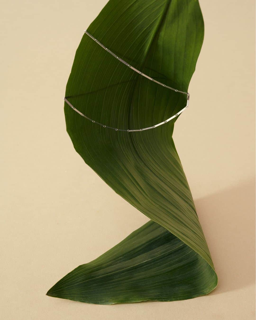 MARIHA Official Instagramさんのインスタグラム写真 - (MARIHA Official InstagramInstagram)「. 待望の新シリーズ「Golden Bamboo」/「Bamboo」が本日、発売になります。  古来より強さ、生命力の象徴として、また未来への希望を表す幸運モチーフとして崇められてきた「竹」。しなやかで美しいプレートを贅沢に用い、「竹」に見立ててデザインされたコレクションは、光の当たり方によってプレートごとに多様な煌めきを放ち、独特の表情を見せてくれます。  アイテムにはピアス、ネックレス、ブレスレットがラインナップ。ネックレスとブレスレットは性別を問わないデザインで、男女共に幅広くお楽しみいただけるサイズで展開しています。  竹の姿のように、現代を力強くしなやかに生きるすべての方々のお守りジュエリーとして、肌身離さず身につけていただきたい新シリーズです。  Golden Bamboo <6/7発売> 素材：K18YG ピアス：63,800円～105,600円 ネックレス：209,000円 / 247,500円 ブレスレット：94,600円 / 105,600円 販売店舗：伊勢丹新宿店本館1階 / 阪急うめだ本店 / MARIHA Official Online Boutique 他  Bamboo <6/7発売> 素材：SV925 ピアス：24,200円～44,000円  ネックレス：92,400円 / 104,500円 ブレスレット：41,800円 / 47,300円  販売店舗：伊勢丹新宿店本館2階アーバンクローゼット/MARIHA Official Online Boutique他」6月7日 12時30分 - mariha_official
