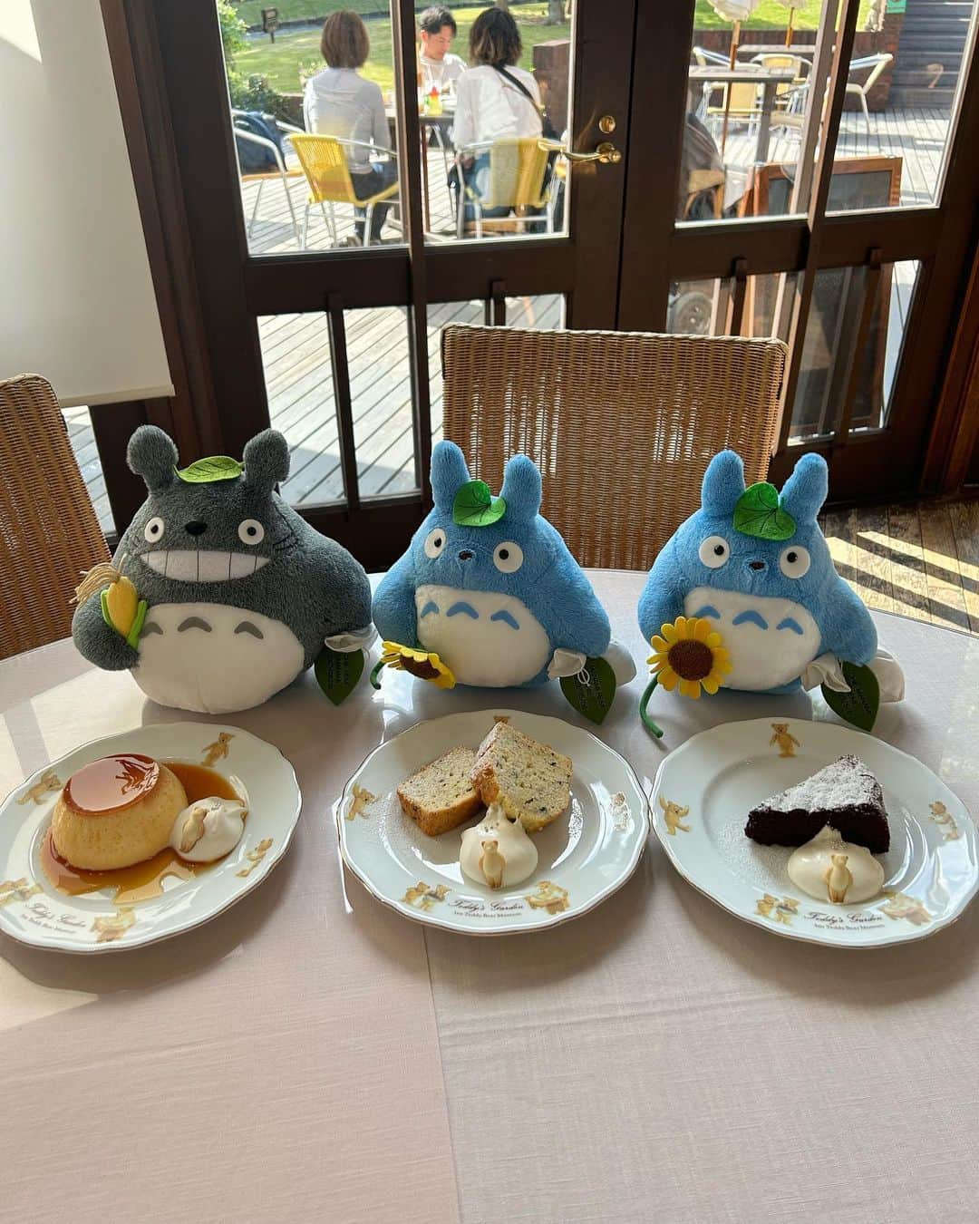 れみぱんさんのインスタグラム写真 - (れみぱんInstagram)「友達のトトロたち限界まで綿詰められてておもしろかわいい👶🏻」6月7日 12時32分 - lemipanna