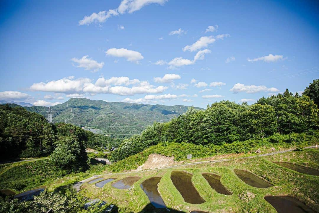 福田瞳さんのインスタグラム写真 - (福田瞳Instagram)「週末の水上でついに、はいはいし出した息子☺︎ @sanazawa_terrace にお泊まりは初めてでかなり父ちゃんと母ちゃんはテンションがあがりました！洋室もあるらしいけど、和室が私は好き♡到着してすぐに布団敷いて家族でごろごろ☺︎温泉♨️入って布団に寝転ぶ瞬間たまらない〜☺︎ 窓からの景色がすっごくよくて、朝は窓から差し込む朝日で起きました☺︎障子開けっぱなしで寝たから、朝、まっぶしかった！笑笑！ うたも終始楽しそうで思う存分畳の上や布団の上を突き進んでました。笑笑。 #さなざわ㞢テラス  #205」6月7日 13時26分 - fukudahitomi610