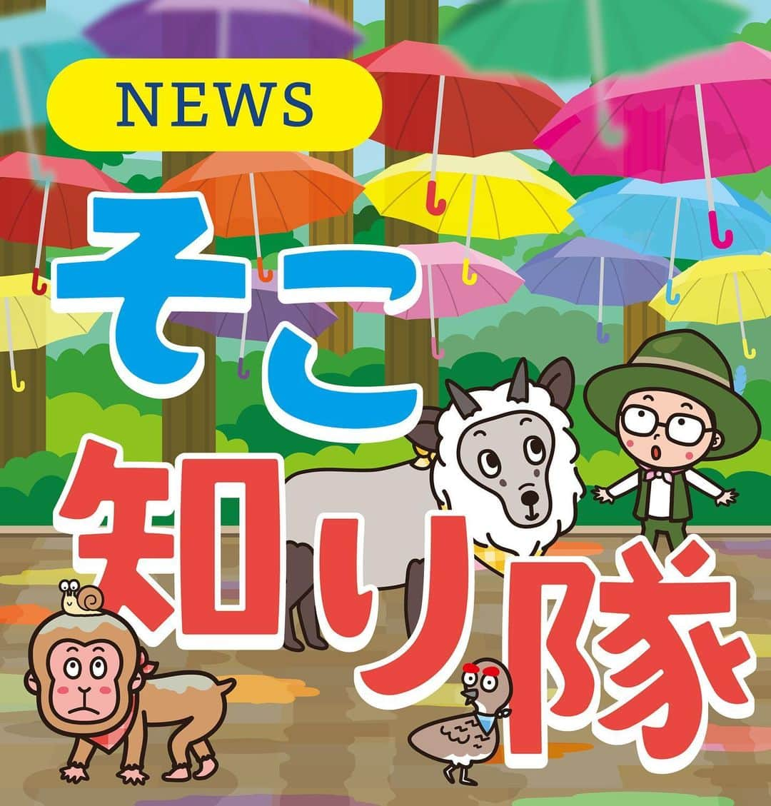 北沢直樹のインスタグラム：「信濃毎日新聞『そこ知り隊』2023梅雨 “アンブレラスカイ” ・ 今週から梅雨のイラストに変わりました✨ ・ #そこ知り隊 #信濃毎日新聞 #松茸 #上田 #信毎 #信州 #長野 #nagano #新聞 #カワイイ #イラスト #キャラクター #キャラ #newspaper #drawing #artworks #manga #character #cartoon #anime #illustration #kawaii #mydesign」