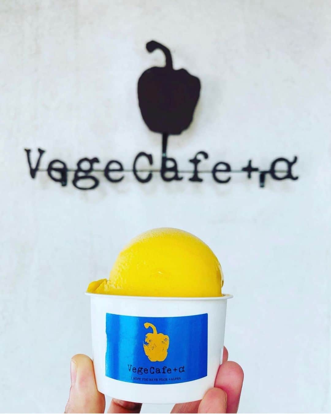 vegecafe＋αさんのインスタグラム写真 - (vegecafe＋αInstagram)「マンゴーオレンジ＆ハニー🍨  ソルベベースのこちらのフレーバーは、 とにかくフルーティー✨ 本物の果実を丸かじりしたような ジューシーでフルーティーな味わい🌈  爽やかな気候にぴったりの ジェラートです♫ お子様にも人気です🌈  #vegecafe#vegecafe_plus_α #新大阪グルメ #新大阪ランチ #新大阪カフェ #西中島グルメ #西中島南方グルメ #西中島グルメ #西中島南方ランチ #西中島ランチ#西中島南方カフェ #大阪ランチ #大阪カフェ巡り #野菜たっぷり #野菜たっぷりランチ#ベジカフェプラスアルファ #ベジカフェプラスアルファー #ジェラート屋さん #アイス部 #アレルギーっ子のおやつ #アレルギー対応 #veganfood」6月7日 14時21分 - vegecafe_plus_a