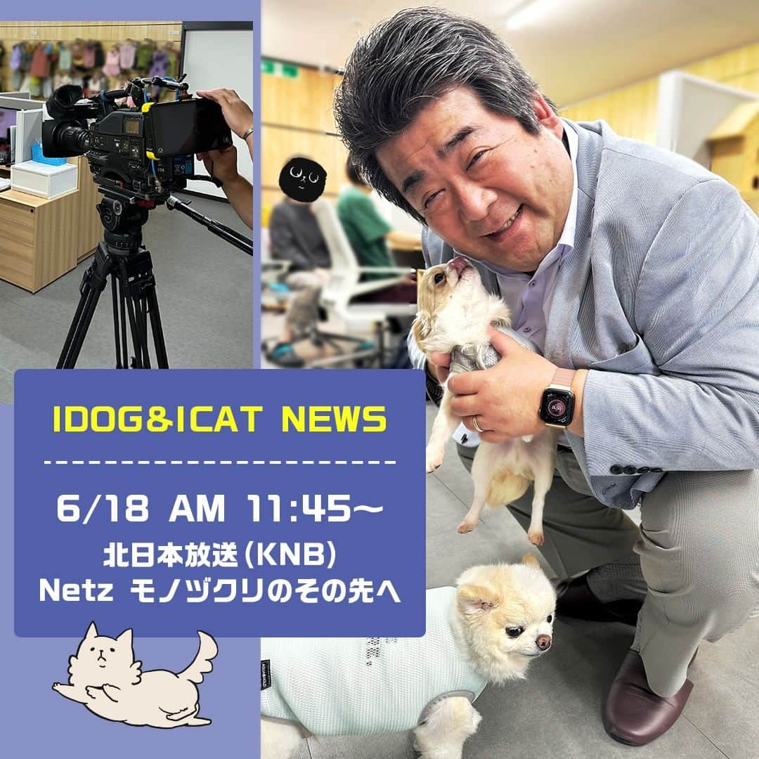 iDog&iCatのインスタグラム