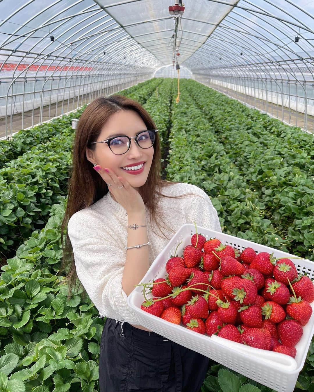 MIKAさんのインスタグラム写真 - (MIKAInstagram)「本気のいちご狩り✊🏻🍓  6.7枚目までスライドして見て欲しい笑 シーズンオフになってしまう苺ちゃんたちをこんなに大量に😮‍💨✨✨ ありがとうございました🌈  小ぶりな子からダイナミックな子まで 味もまろやかな子からとびっきり甘い子まで それぞれ個性があってお口に入れるたび楽しくって！ どれも水々しくて美味しかった〜♥️♥️  ⠀ 今日はあついからね🎐 みんな水分補給しっかり過ごしてねん🫠👌  ⠀」6月7日 14時48分 - cjd_mika