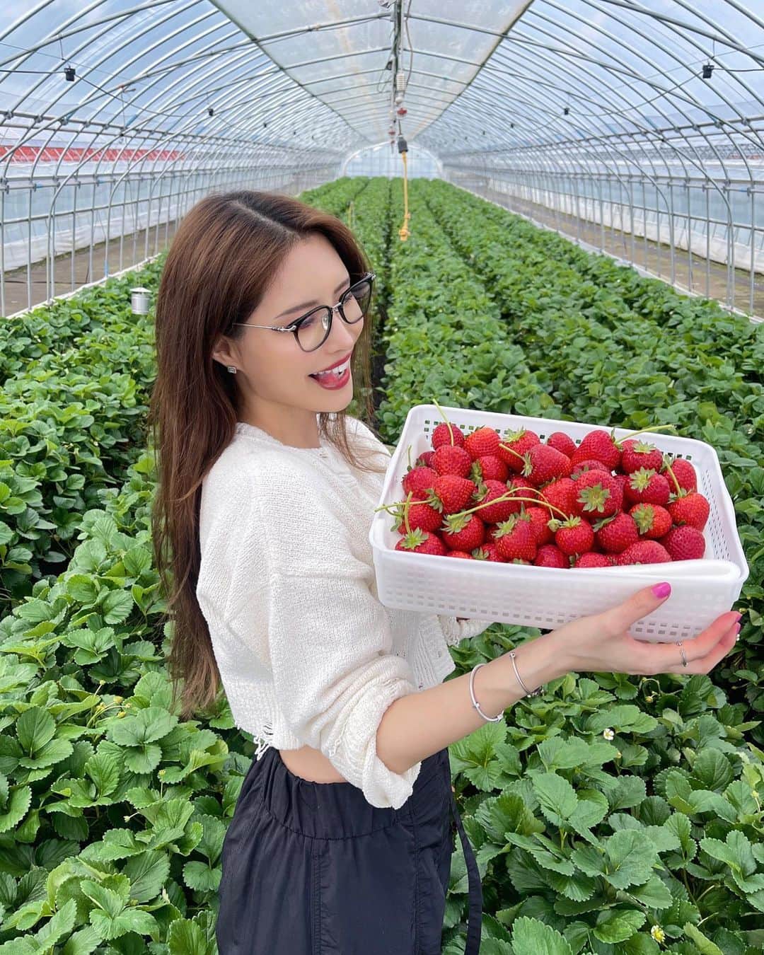 MIKAのインスタグラム：「本気のいちご狩り✊🏻🍓  6.7枚目までスライドして見て欲しい笑 シーズンオフになってしまう苺ちゃんたちをこんなに大量に😮‍💨✨✨ ありがとうございました🌈  小ぶりな子からダイナミックな子まで 味もまろやかな子からとびっきり甘い子まで それぞれ個性があってお口に入れるたび楽しくって！ どれも水々しくて美味しかった〜♥️♥️  ⠀ 今日はあついからね🎐 みんな水分補給しっかり過ごしてねん🫠👌  ⠀」
