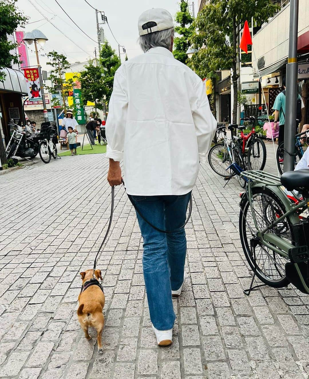 結城アンナさんのインスタグラム写真 - (結城アンナInstagram)「✨🐾🐾🐾Ozzy & Dadi👟👟👟✨  #iamozzy🐶 #bestwoof #元保護犬 #adoptdontshop #ilovemydog #bestdogever #岩城滉一」6月7日 20時27分 - ayukihouse