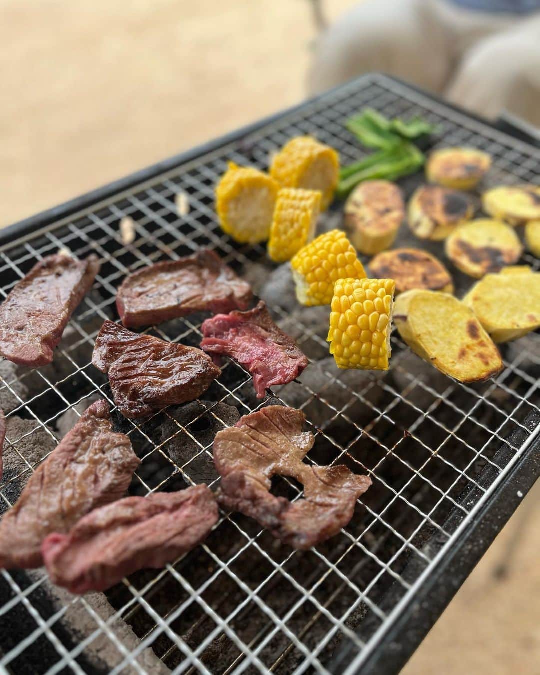 尾崎里紗さんのインスタグラム写真 - (尾崎里紗Instagram)「1 KOBE Camp Base @1kobe.campbase  ⁡ グランドオープン前に特別に招待してもらい、先日のお休みに家族でバーベキューをしてきました！ BBQはたぶん幼稚園ぶり…？ 久々すぎてとにかく楽しかった(^^) ⁡ 実は、この1 KOBE Camp Baseは小中学校の同級生が1年間かけて手作りしたキャンプ場なんです😳 インスタ見てもらえると分かるんですが、本当に一から作ってます！ キャンプ場内はとても広くオシャレで、インスタ映えスポットもあり。 ⁡ そして看板犬のイチ！ まだ8ヶ月のイチはすごく人懐っこくて食欲旺盛でめちゃくちゃ可愛い✨ ペットと一緒に行けるキャンプ場なので、ぜひワンちゃんを連れてバーベキューやキャンプどうですか？(^^) ワンコ友達できるかも🐶  ⁡ 6月30日からグランドオープン。 私もまた行きたいと思います😆 ⁡#キャンプ #camp #バーベキュー #bbq」6月7日 20時26分 - risaozaki410