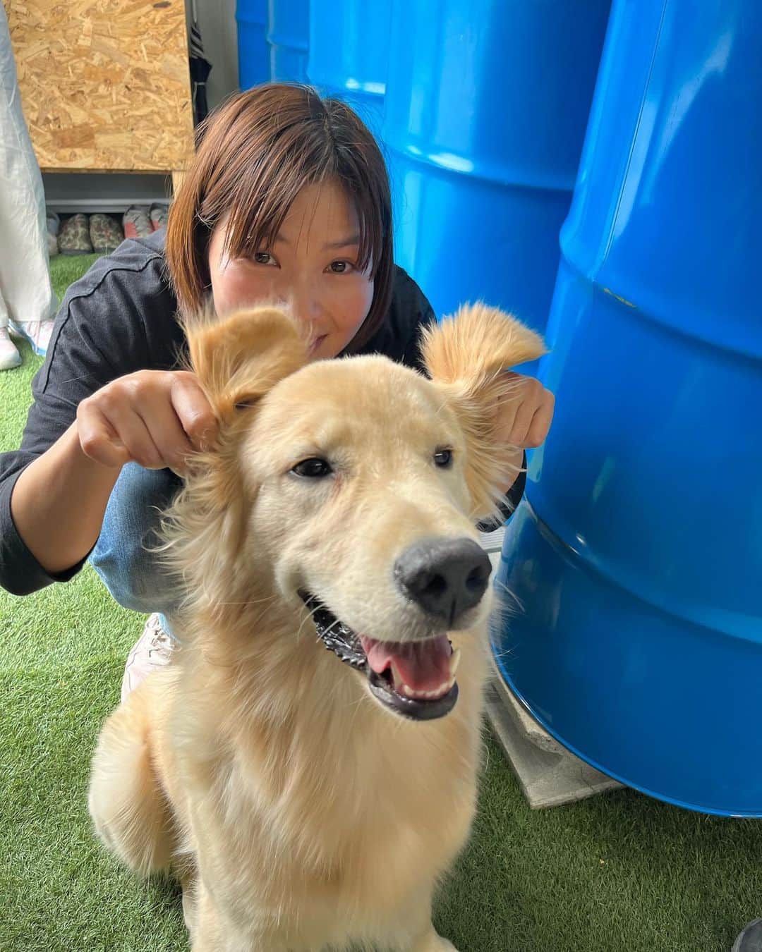 尾崎里紗さんのインスタグラム写真 - (尾崎里紗Instagram)「1 KOBE Camp Base @1kobe.campbase  ⁡ グランドオープン前に特別に招待してもらい、先日のお休みに家族でバーベキューをしてきました！ BBQはたぶん幼稚園ぶり…？ 久々すぎてとにかく楽しかった(^^) ⁡ 実は、この1 KOBE Camp Baseは小中学校の同級生が1年間かけて手作りしたキャンプ場なんです😳 インスタ見てもらえると分かるんですが、本当に一から作ってます！ キャンプ場内はとても広くオシャレで、インスタ映えスポットもあり。 ⁡ そして看板犬のイチ！ まだ8ヶ月のイチはすごく人懐っこくて食欲旺盛でめちゃくちゃ可愛い✨ ペットと一緒に行けるキャンプ場なので、ぜひワンちゃんを連れてバーベキューやキャンプどうですか？(^^) ワンコ友達できるかも🐶  ⁡ 6月30日からグランドオープン。 私もまた行きたいと思います😆 ⁡#キャンプ #camp #バーベキュー #bbq」6月7日 20時26分 - risaozaki410