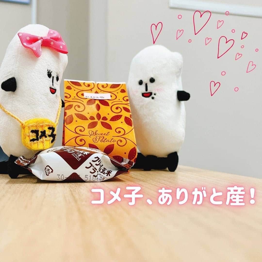 コメ助さんのインスタグラム写真 - (コメ助Instagram)「. みな産、コメにちは🌾 コメ子だヨネ🎀 お兄ちゃんと私は、おやつがだいすき ...