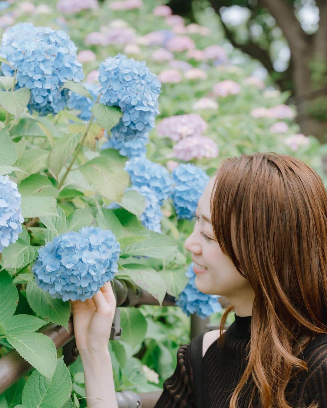 妃白ゆあのインスタグラム：「梅雨入り前の貴重な晴れ日ですね☀️ ⁡ どこも紫陽花が綺麗で癒される🌱 ⁡ @chiicame_graph  さん にお写真撮って頂きました☺️💓 千愛さんのお写真はどれも優しくて色合いがとっても綺麗🥹✨✨ ⁡ これは撮影の帰りに寄り道撮影したので頭ボサボサ🤫🙏🏻撮って頂いた写真はまたいつか😊📷 ⁡ ⁡ ⁡ ⁡ #6月 #June #紫陽花 #hydrangea ⁡ ⁡ ⁡ ⁡ ⁡」