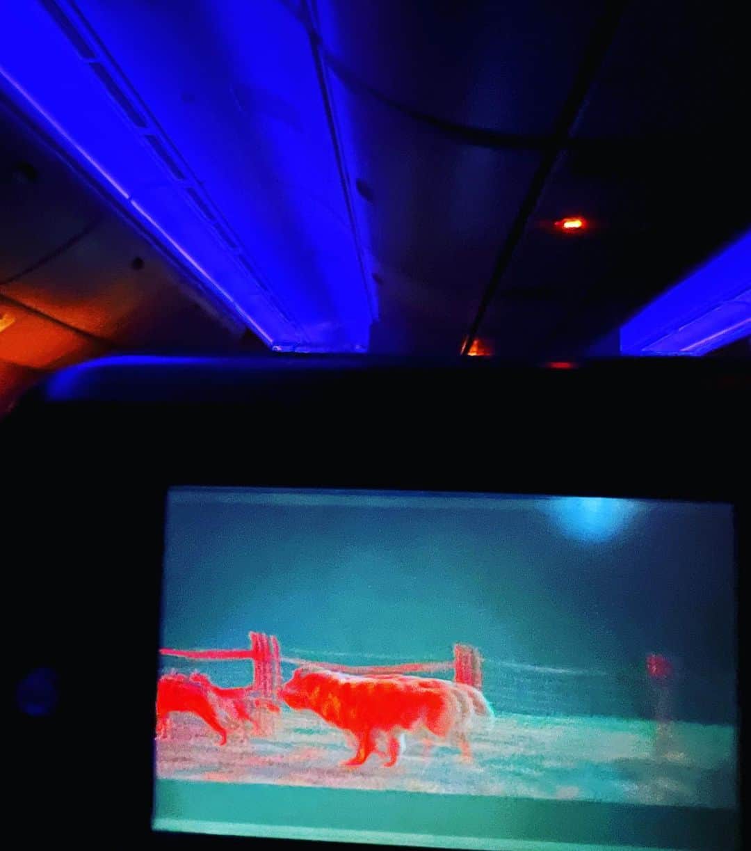 のインスタグラム：「🛫」