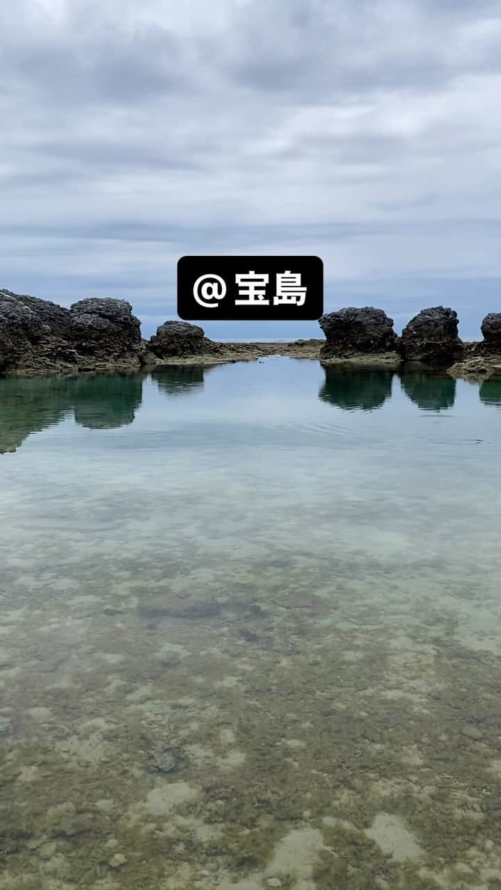 三谷晶子のインスタグラム：「@宝島」