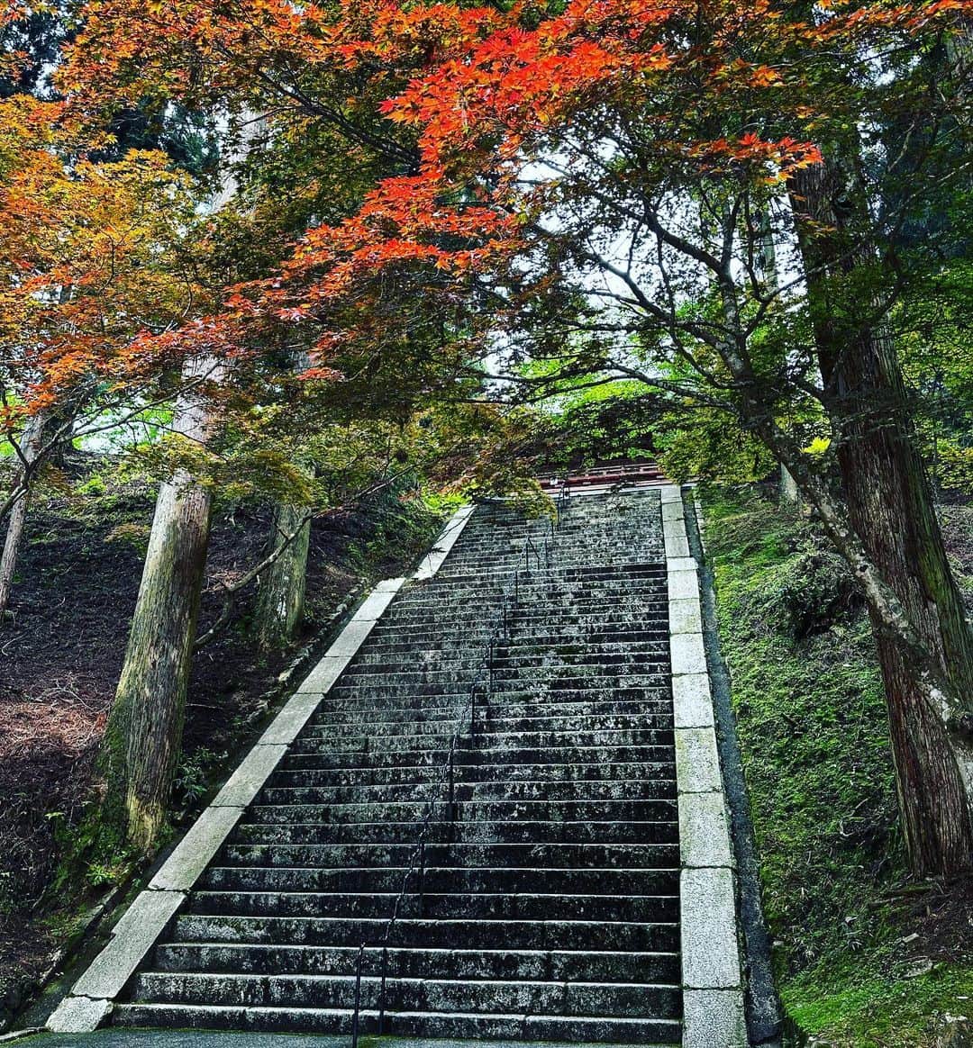 マッコイ斉藤のインスタグラム：「比叡山延暦寺 #比叡山延暦寺」