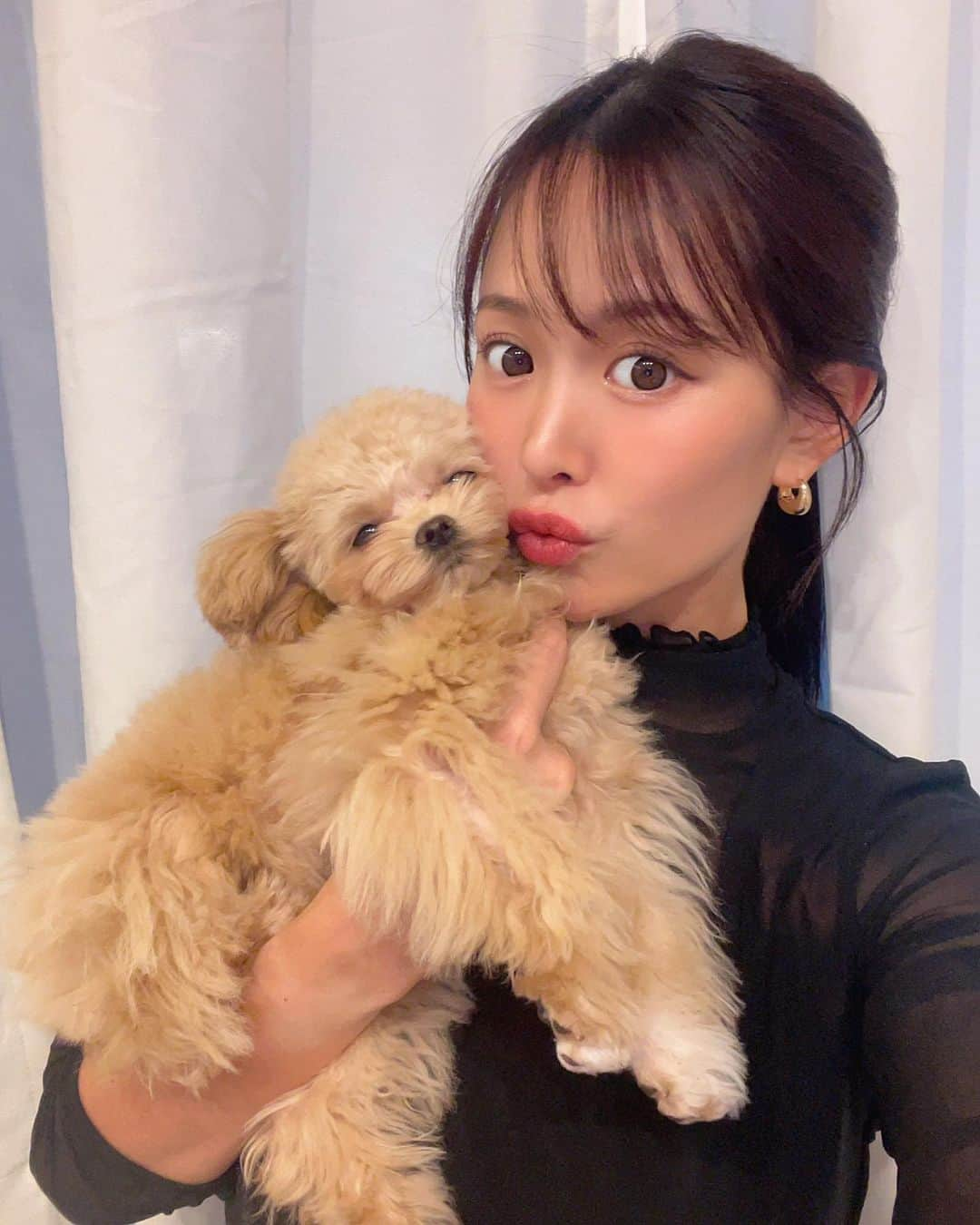 さーたんのインスタグラム：「* * 多分だいぶ嫌がられてる🥹😗😐 @popostagram.1128   #犬 #犬のいる暮らし #犬バカ部 #犬スタグラム #犬バカ #イヌ #イヌスタグラム #イヌバカ部 #チワワ #ティーカッププードル #チワプー #チワプー女の子 #イッヌ」