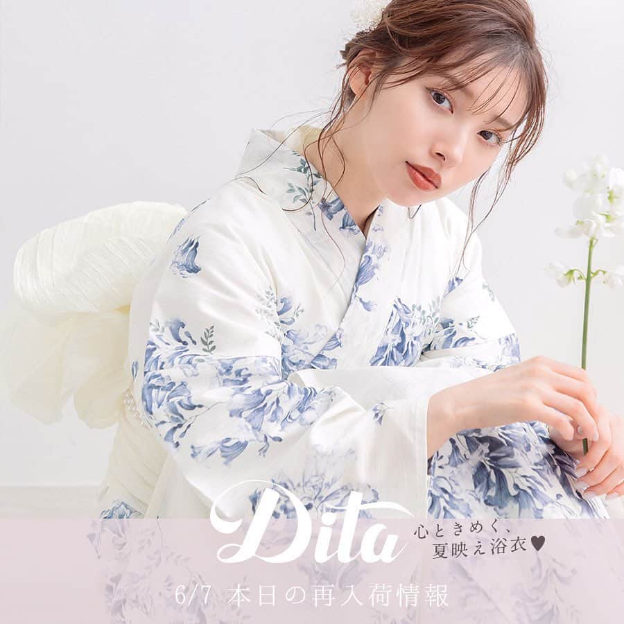 スペシャル限定品 Dita浴衣2023新作【涼の音】 レディース | bca.edu.gr