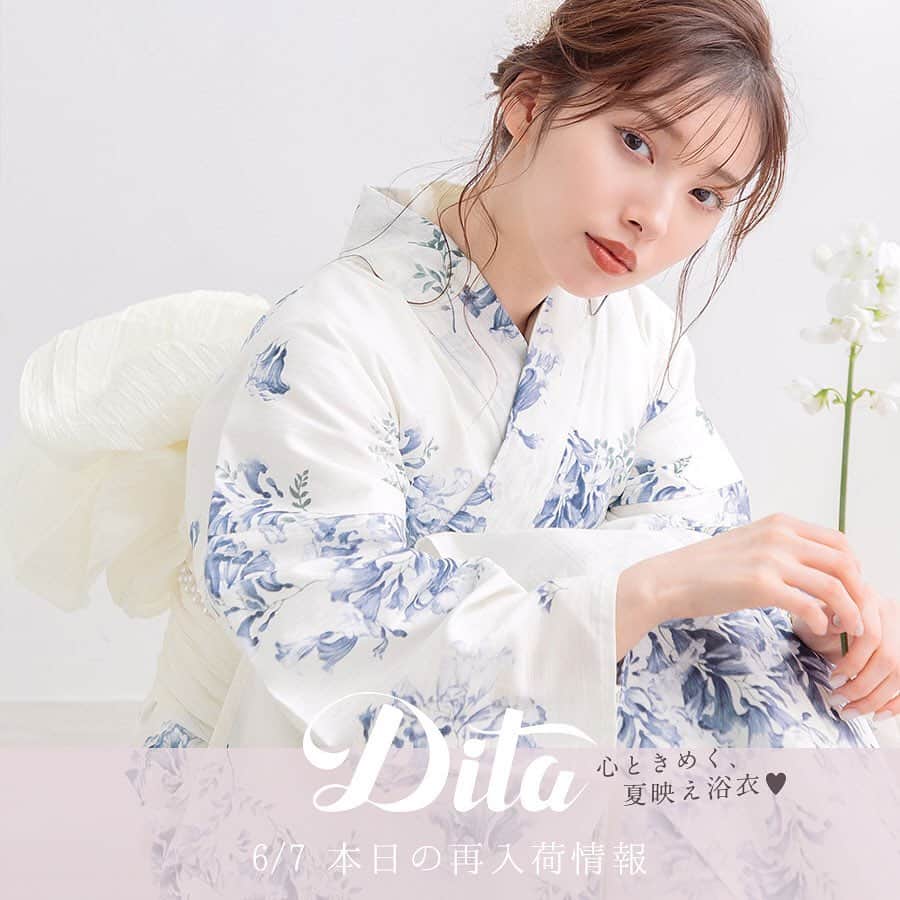Dita 浴衣 夕凪の和調古典
