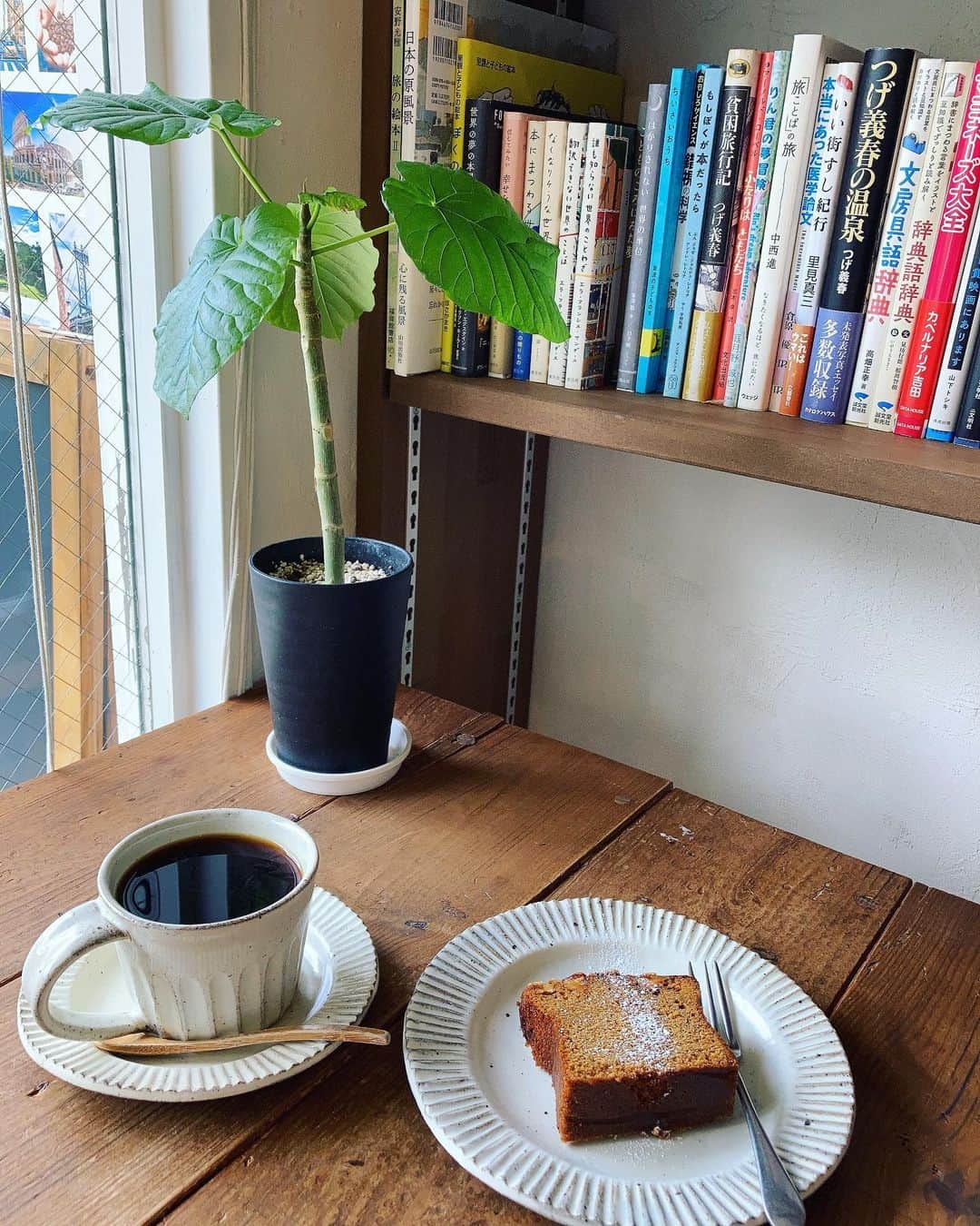 石崎佳代子さんのインスタグラム写真 - (石崎佳代子Instagram)「☕️ 先週、FBSでの収録帰りに久しぶりの cafe oticoti さんへ。  木と本に囲まれたどこか懐かしい空間で、 穏やかなひと時を過ごせます。  この日は キャラメルとくるみのパウンドケーキも頂きました。  外へ出たら目の前の水路沿いには紫陽花が満開。 6月ですね☺️  @cafeoticoti   #薬院カフェ #白金カフェ #福岡カフェ #薬院 #福岡」6月7日 18時20分 - kayoko_ishizaki