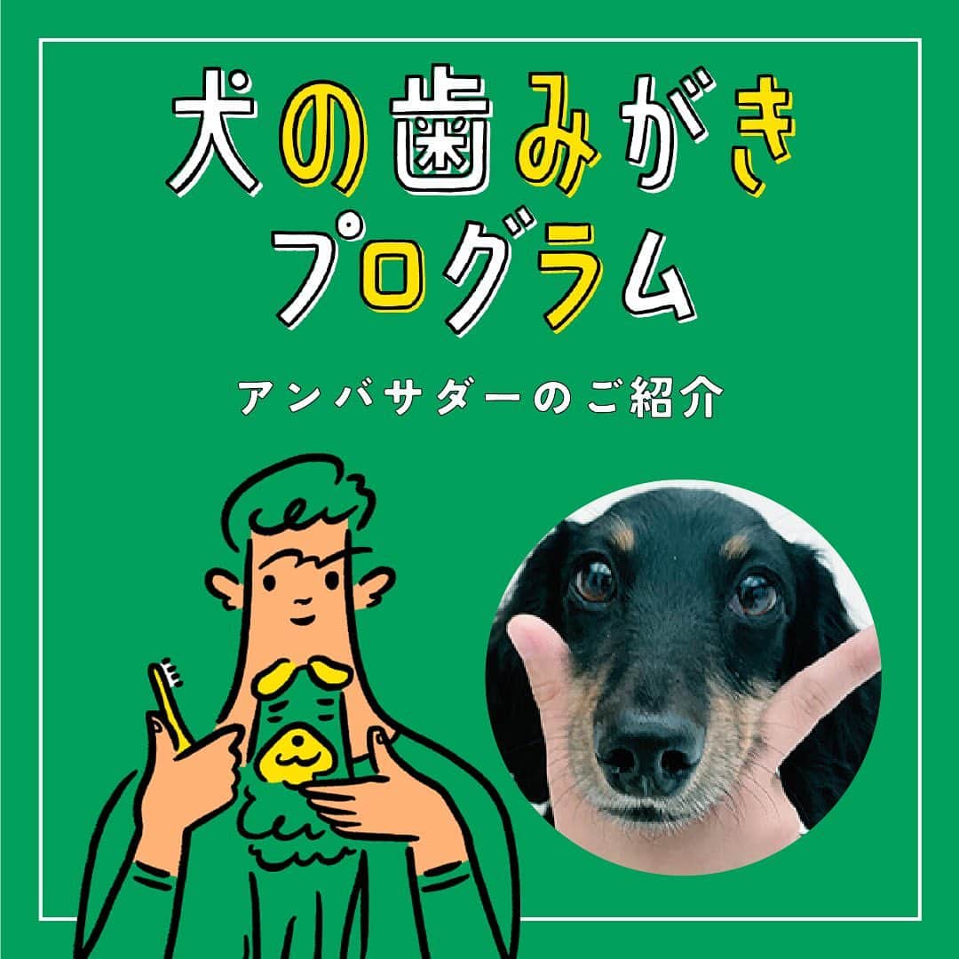 ライオン商事株式会社のインスタグラム