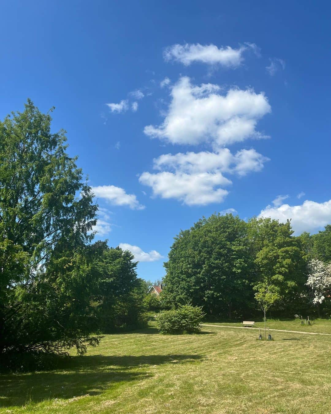 福本敦子さんのインスタグラム写真 - (福本敦子Instagram)「この太陽のやる気を見て😲夏至付近☀️デンマークに来て、太陽や夏や自然がもっと大好きになった✨それと同じくらい、自然はこんなに与えてくれているのに、人間はたまに故意に自然をぶっ壊したりするから（戦争とか）😭ホント申し訳ねぇだよ😢🙏🙏って気持ちにもなった。 . 東京にいても自然からもらってるものは大きいけど より、それに気づく。　こっちは、太陽がいっぱい☀️ . いつからかコンクリートの照り返しが辛くて夏は苦手なものになってたし、 紫外線は避けるもの（適度に）になってたけど　芝生の上でみんなゴロゴロ、子供たちキャアキャア、太陽を気持ちよーく浴びてるのを見たら  自然と人間の関係って本来こうだよなって感じた。 それにこっちで暮らしてる人の感じを見てら今ある環境を大事にして、それを楽しむことも人生必要だなって思った。あと、焦らないことも。 enjoy sunshine😎の意味もわかった⭐️日本の天気はどうかな？っていつも気になってる。気まぐれにやってる青空放送live良かったら見てくださいね。」6月7日 18時42分 - uoza_26