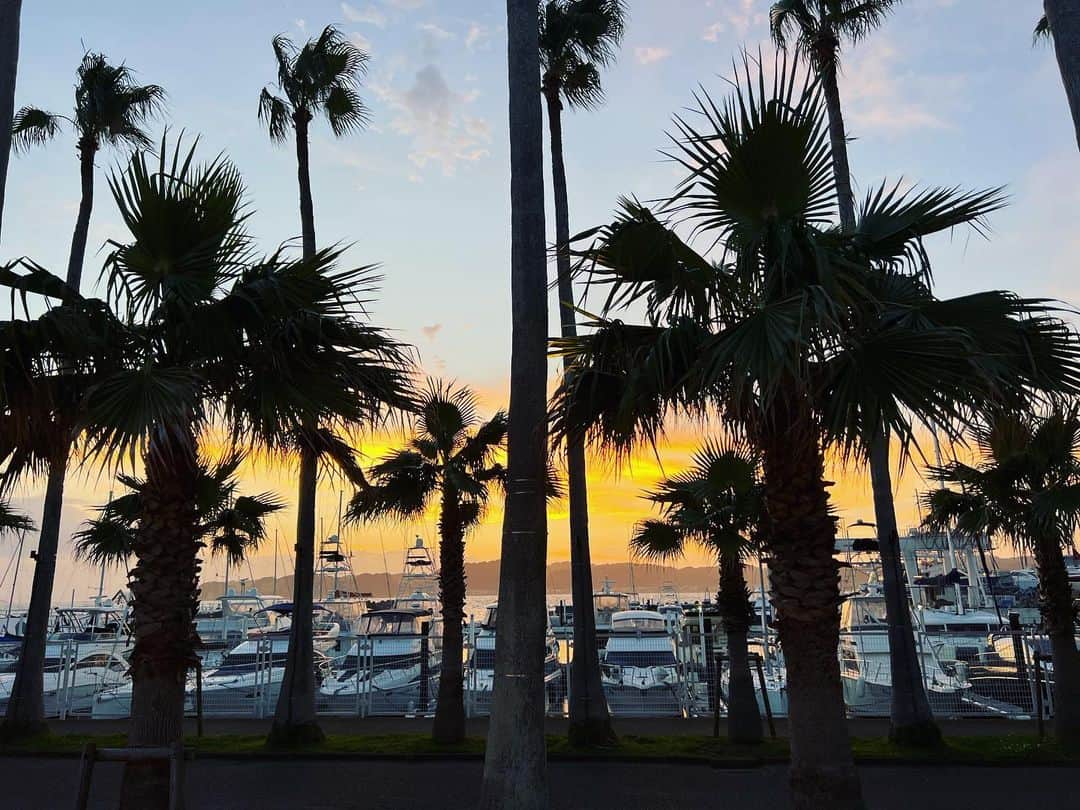 のインスタグラム：「グアム🇬🇺で売ってる キーホルダーそのまんまみたいな 景色だなぁ...🌴🌴☺️ (良い意味で笑) って喋りながら撮りました笑 ㅤㅤㅤㅤㅤㅤㅤㅤㅤㅤㅤㅤ 定期的に自然に 癒されたくなります✨  暑くなってきたから夏らしい写真🤳☀️」