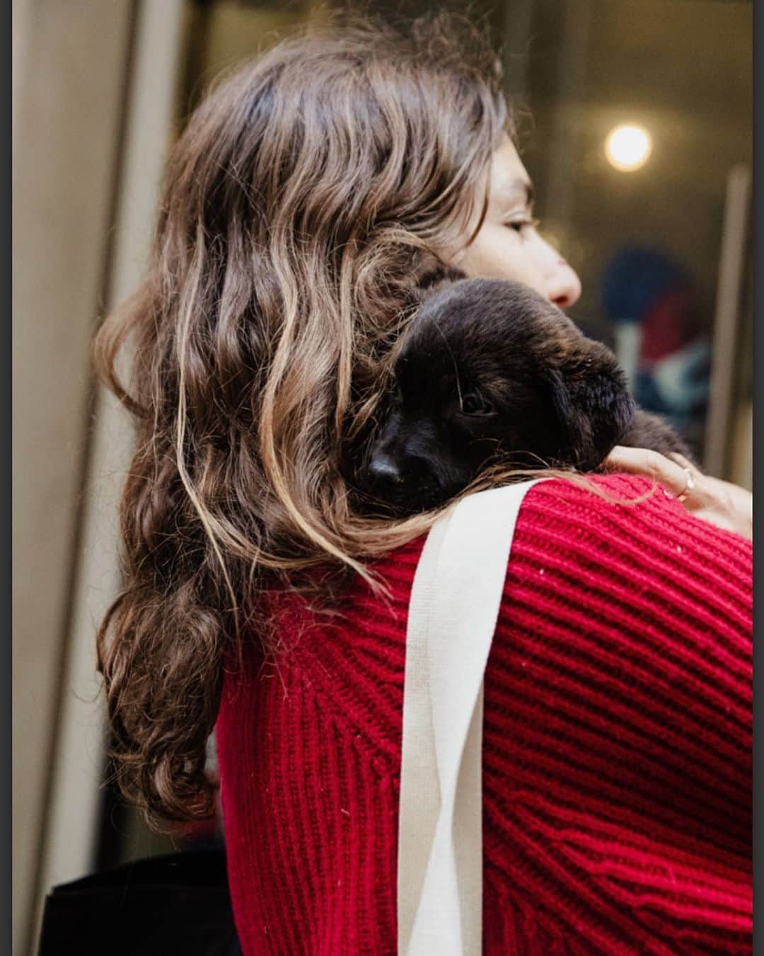 サイモン・ネスマンさんのインスタグラム写真 - (サイモン・ネスマンInstagram)「@andreeadiddy and Roo❤️  Photo: @waldosrescue」6月8日 5時04分 - simon.nessman