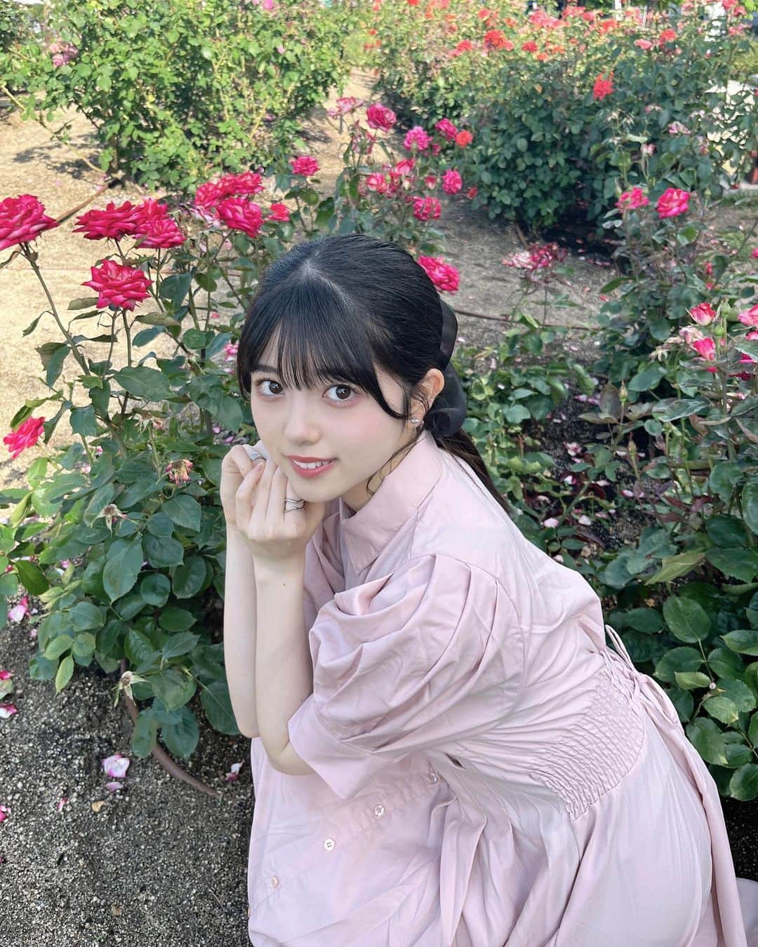 坂下真心のインスタグラム：「⌇ 𝗋𝗈𝗌𝖾 ⁡ ⁡ 高貴で美しいのに刺があるところが好き🥀‪‪🫧 ⁡ 目も心も潤いました⸝⸝⸝♡︎ ⁡ ⁡ #05 #idol #nmb48 #nmb #jk #ljk  #中之島薔薇園 #薔薇園 #大阪観光 #大阪 #rose」