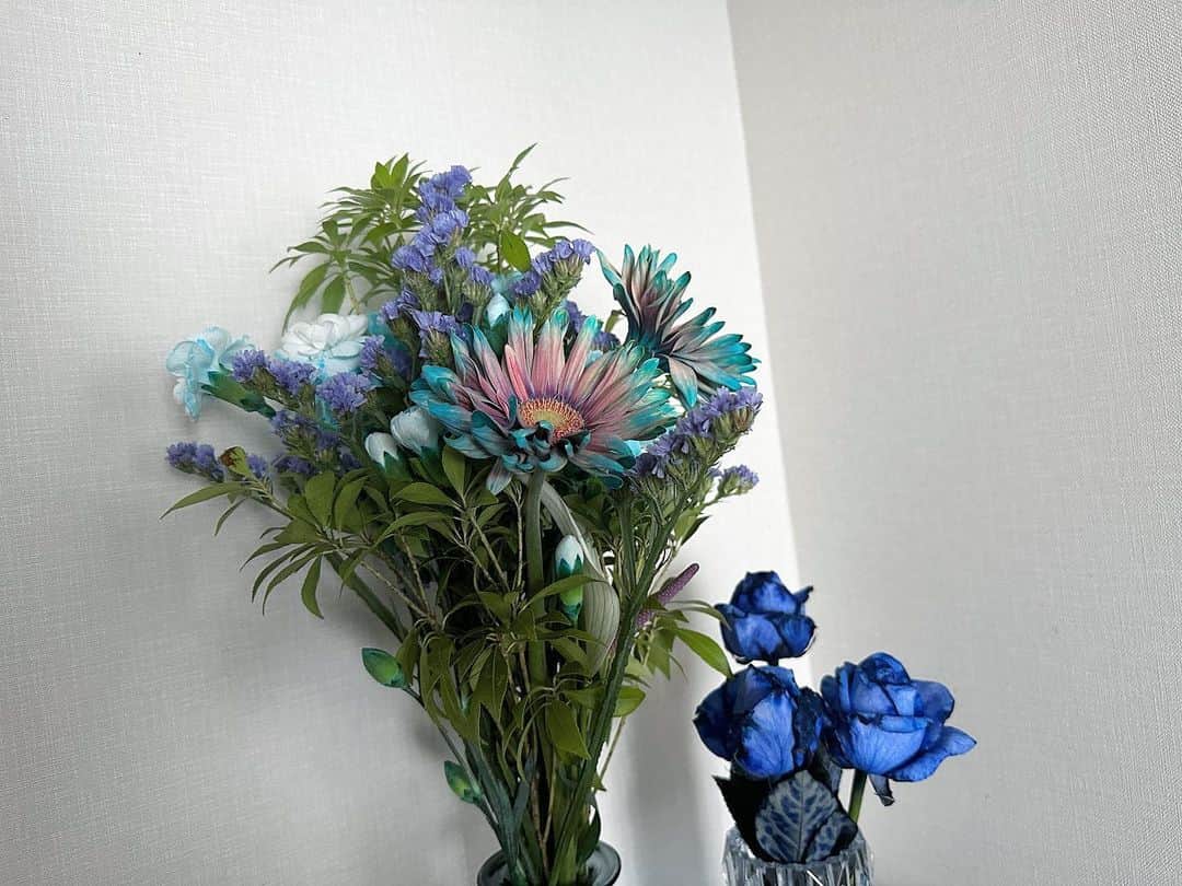 梅澤美波さんのインスタグラム写真 - (梅澤美波Instagram)「いただいた、お花  昨日いただいたお花が あまりにも素敵な色味で、癒されます」6月7日 21時18分 - ume_minami.official