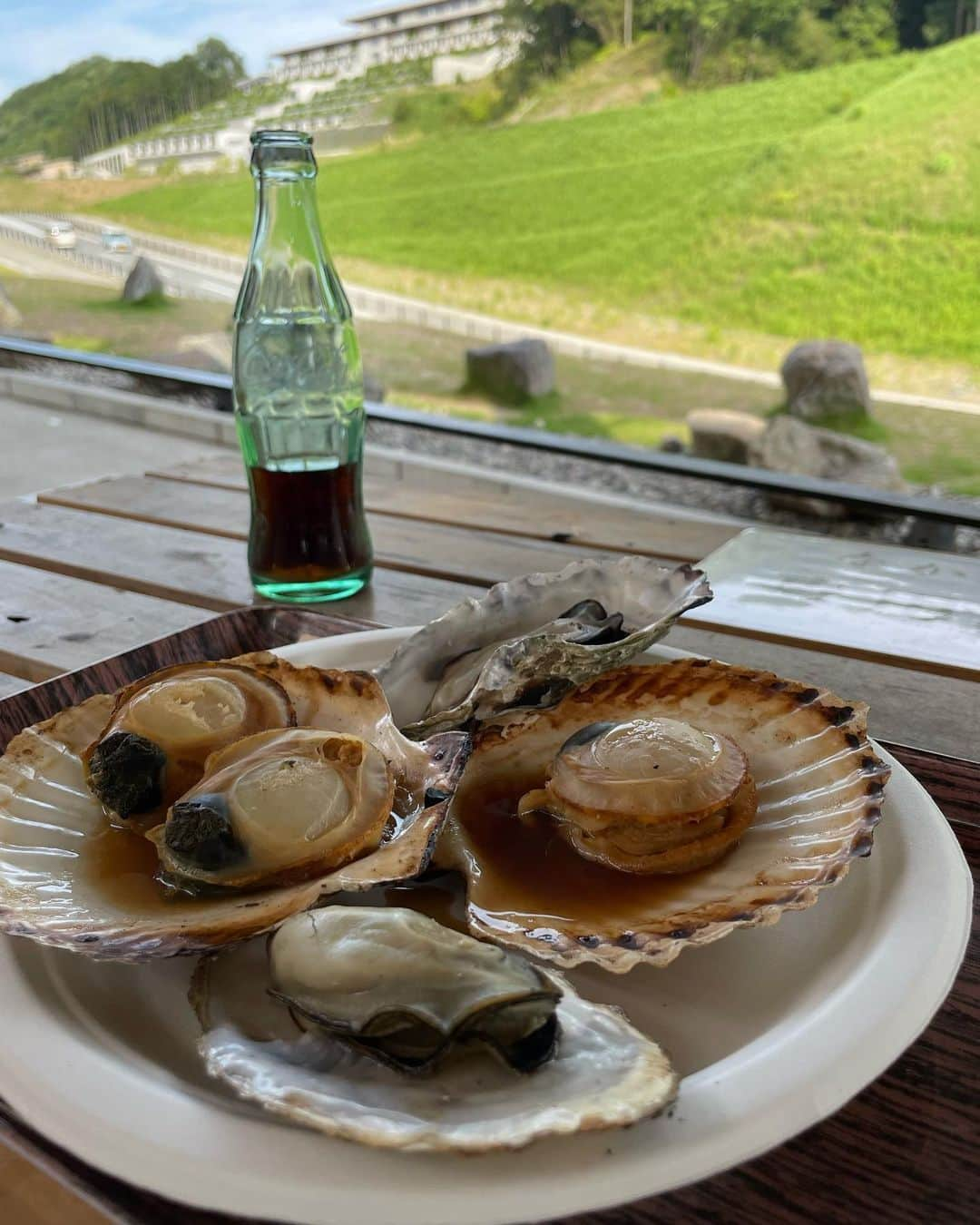 加藤るみさんのインスタグラム写真 - (加藤るみInstagram)「【VISON】  三重県多気町にあるVISON。  山の中で空気が澄んでて気持ちいい〜。 緑を見ると心がほぐれます。  敷地がほんとーに広いけど、 歩き回っていろいろ食べた結果、どこもかしこも美味しかった！(歩き回ったからカロリーゼロ！)  ２枚目、#無添加商店尾粂  ３枚目、#cafetomiyama  ４枚目、#海女小屋なか川  ５枚目、#たいやきわらしべ   @rhodolirion_official のサロペ、お気に入りすぎる🩷  #るみのふく   @vison_com  #三重  #三重グルメ  #ヴィソン  #vison」6月7日 21時31分 - rumicinema