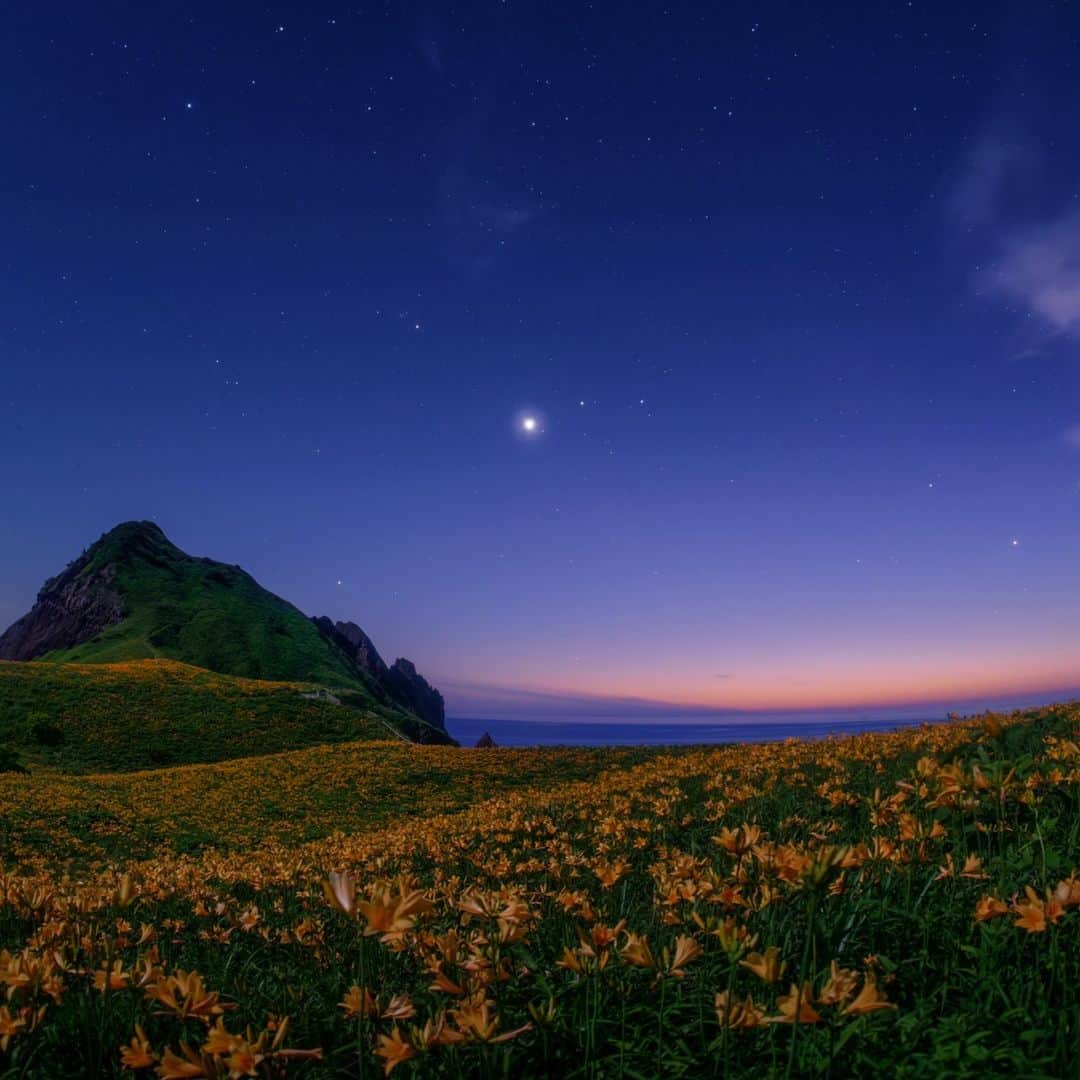 KAGAYAさんのインスタグラム写真 - (KAGAYAInstagram)「日が沈むと、西空にひときわ明るく金星が輝きはじめました。 佐渡の野に咲きほこるトビシマカンゾウを、月光がやさしく照らしていました。（先日、新潟県佐渡島にて撮影） 今日もお疲れさまでした。  #星空 #starphotography #sonyalpha #α7rv #佐渡島 #佐渡」6月7日 22時01分 - kagaya11949