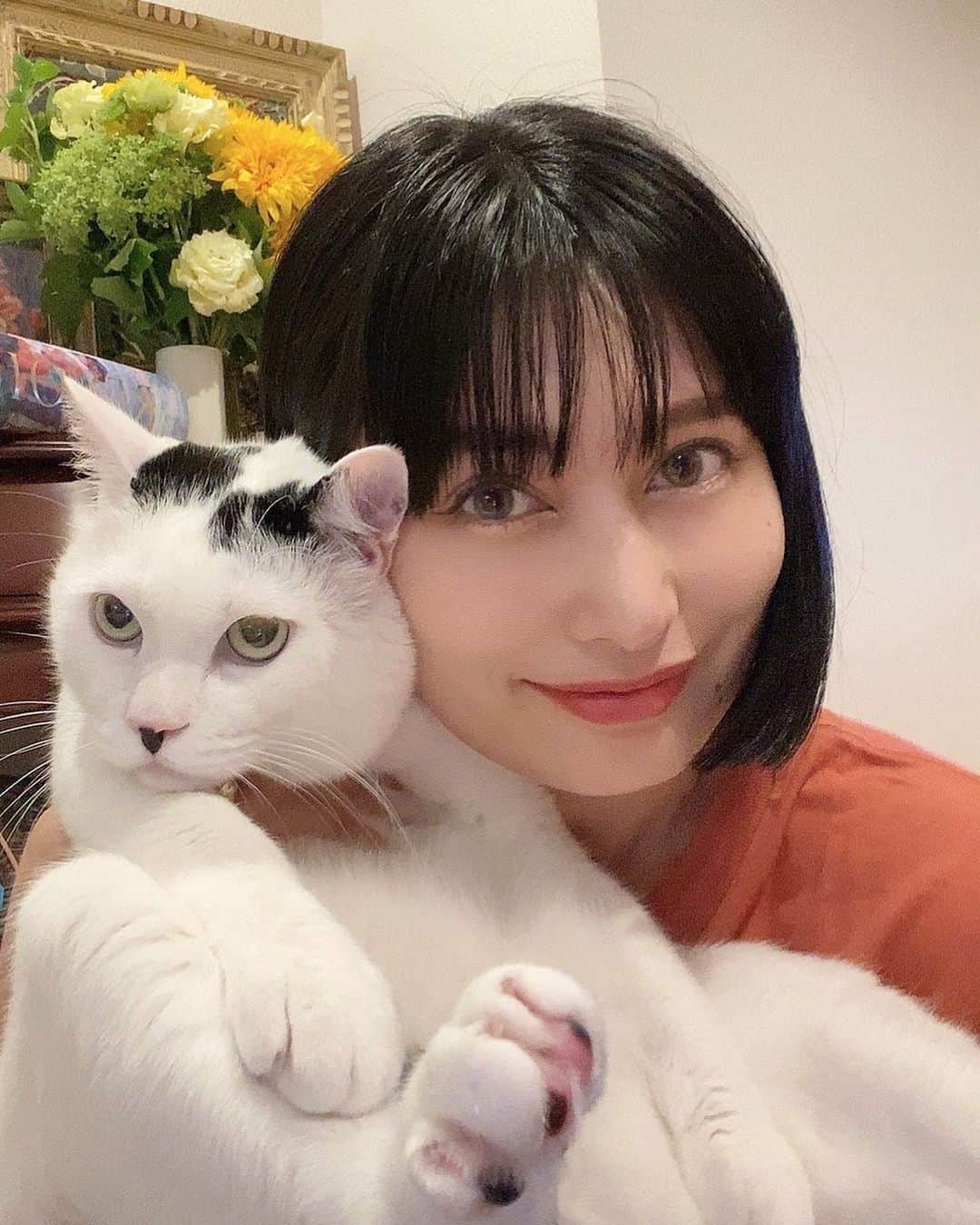 佐藤乃莉のインスタグラム：「✨🩵6/7🩵✨  産んでくれてありがとう  育ててくれてありがとう  出会ってくれてありがとう  応援してくれてありがとう  皆んなのおかげで 佐藤は今日も佐藤でいられます✨  Big Love✨  そんなことより 早くおやつくれないかなーって 顔のおすし😂  も、  8歳になりました🎂✨  #birthday #おすし#love#family#猫」