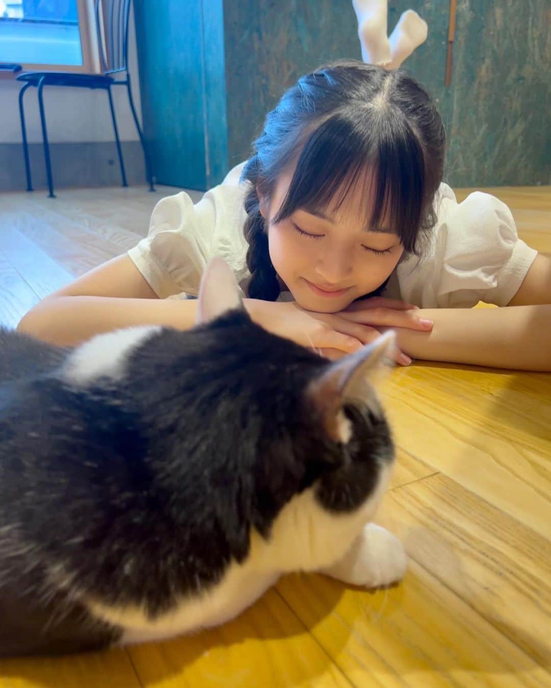 のインスタグラム：「猫カフェ🐈‍⬛ 可愛くて癒された〜  #猫カフェ#猫#ネコ #癒し#黒猫#ハチワレ #竹下優名 #jc2#09 #スターダストプロモーション」