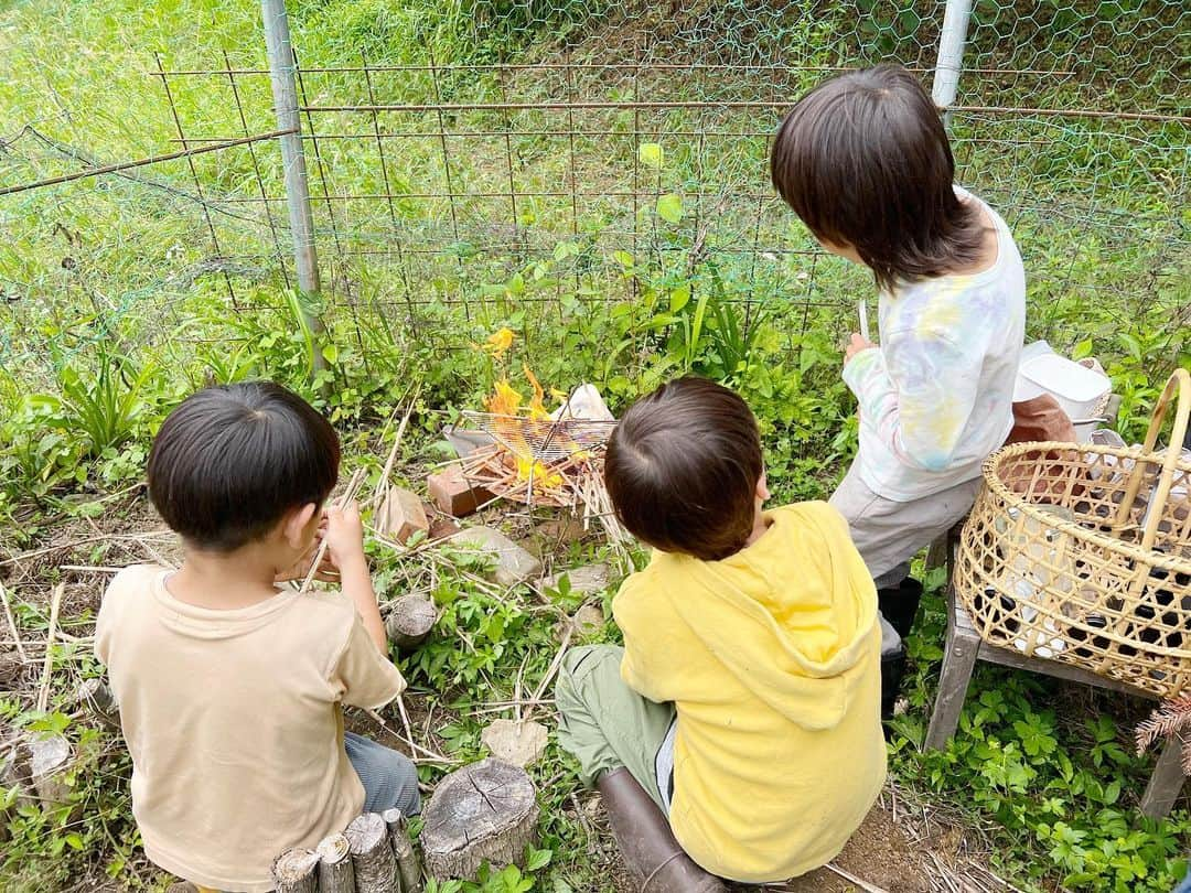 nonさんのインスタグラム写真 - (nonInstagram)「そろそろ桑の実が終わっちゃう  今年もいっぱい食べた でもまだ、食べる！  季節が走っていくのに 急足で併走するみたいに まってよまってよ、と  みんなで実をとって、 畑でジャム作って、 できたての熱々をパンに塗って食べた日  まちがいなく、最高のおやつ  そんでもって、 おつぎは梅だ...！  毎日 季節を追いかけるのに 精一杯  でも楽しい  #エシカル暮らし #エシカルな暮らし  #エシカル #藤野」6月7日 22時59分 - non19841120