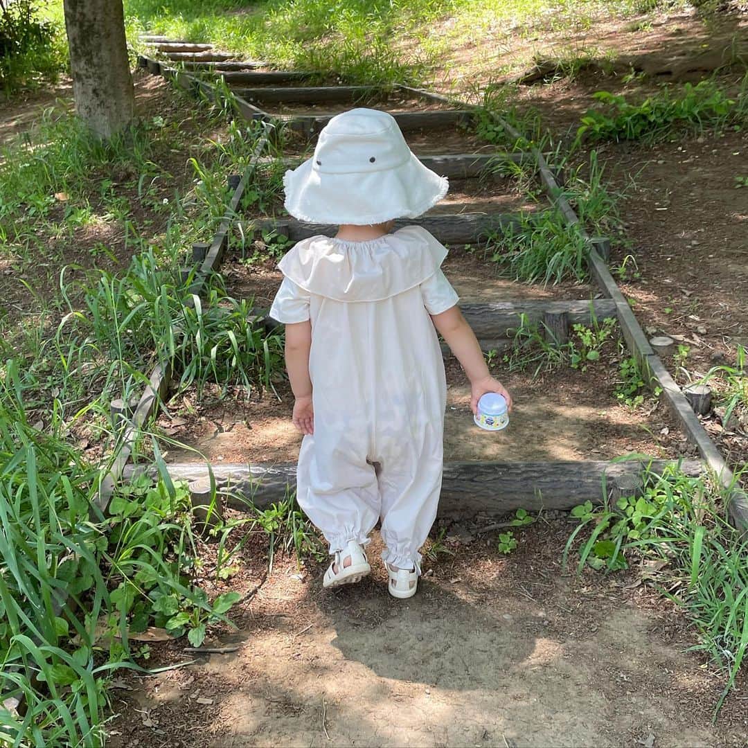 のインスタグラム：「最近の私たちのたからものちゃんまとめ  7枚目はアンパンマンです 天才か？😥」