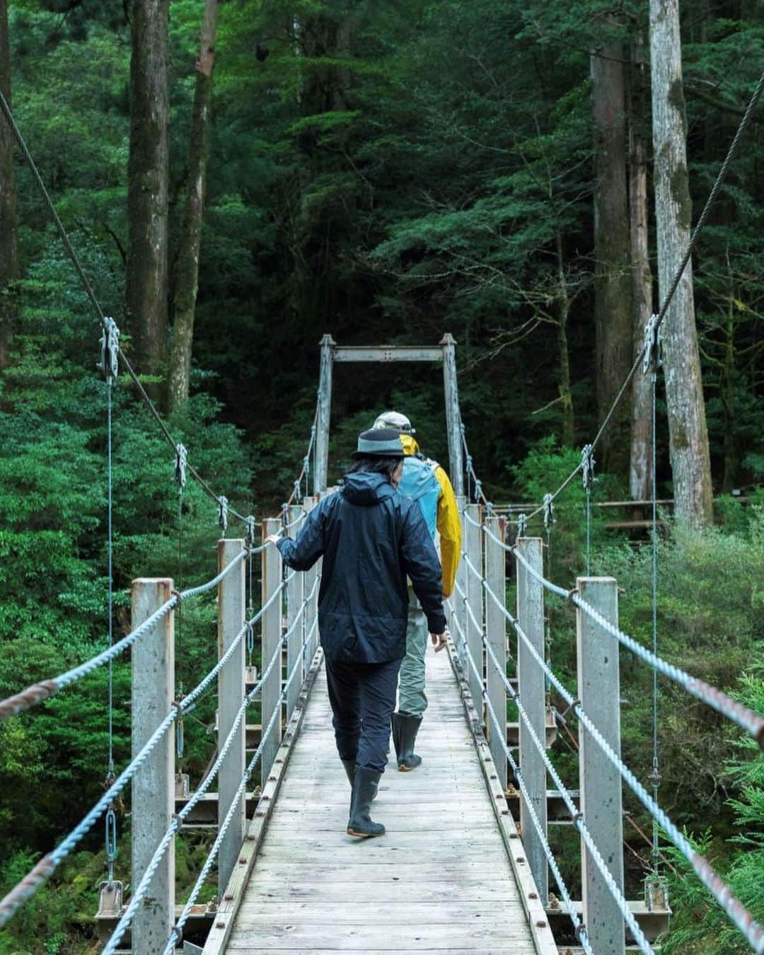 川上俊のインスタグラム：「Research & Interview travel : learning sustainability at yakushima japan for curiosity magazine (by @r100_tokyo )  #屋久島  以前から屋久島の自然環境や循環についてを学び感じるために行ってみたいと想っていた場所。苔むす森に降る大量の雨が水の循環を生み、生命の息吹と太古の自然を残す世界遺産の島・屋久島。そして、その屋久島にある実験的宿泊施設「Sumu Yakushima」。  沖縄での滞在の後、飛行機を乗り継いで屋久島／Sumu へ。  発案者で設計者の小野 司さん、同じく発案者で島の自然や営みをレクチャーしている今村祐樹さんを訪れ、自然と対話する方法や価値観についてを教わった。そんな印象と記憶が残っています。  ー  Learning the Cycle of Life in Yakushima 「屋久島で命の循環を学ぶ」 |  Curiosity   R100 tokyoがブランドビジョンに掲げる言葉「Quiddity｜本質的」はどこにあるのか。手がかりを求めて屋久島の自然と時間を体験する旅に出た。  https://r100tokyo.com/curiosity/essence/230502/  #sustainability #travelingjapan」