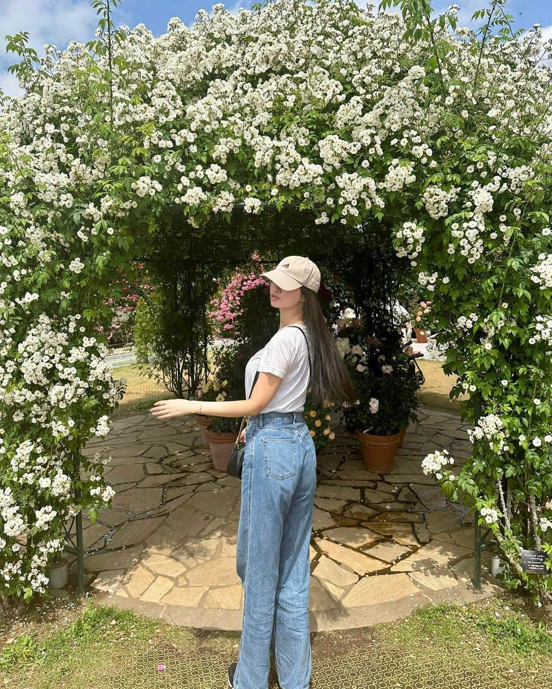 水上桃華さんのインスタグラム写真 - (水上桃華Instagram)「💐🩷 今度おばあちゃん連れてきたいなぁ  #あしかがフラワーパーク #バラ園 #rosegarden #栃木県足利市」6月7日 23時58分 - carbsdaisuki_