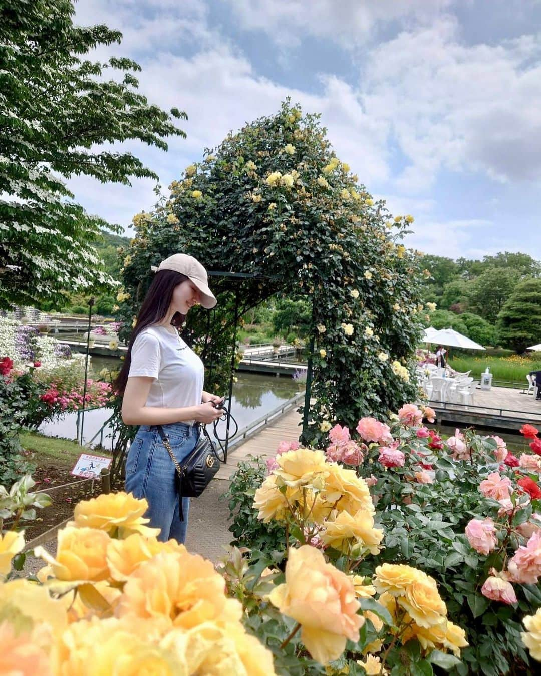 水上桃華さんのインスタグラム写真 - (水上桃華Instagram)「💐🩷 今度おばあちゃん連れてきたいなぁ  #あしかがフラワーパーク #バラ園 #rosegarden #栃木県足利市」6月7日 23時58分 - carbsdaisuki_